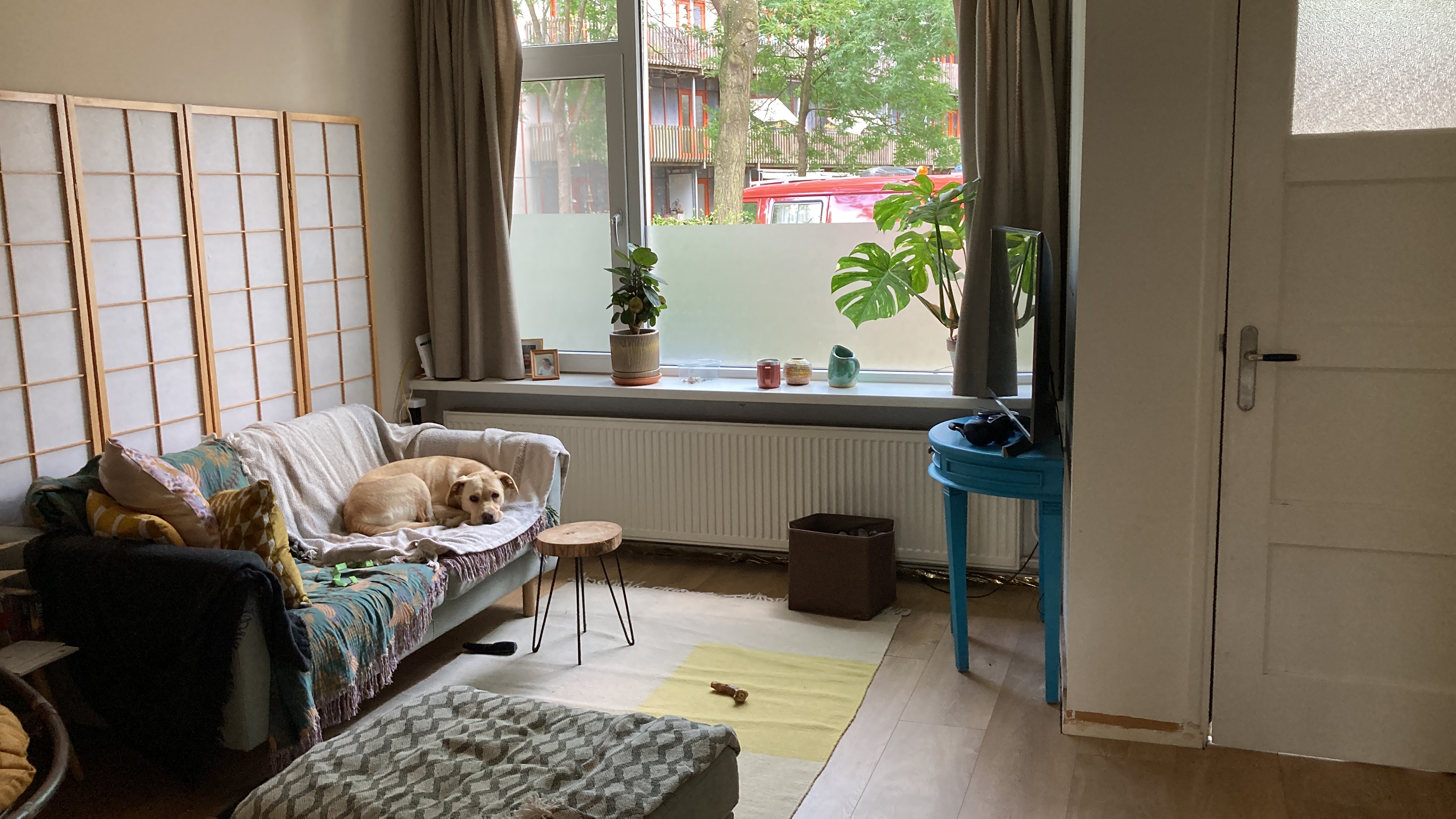 image-13