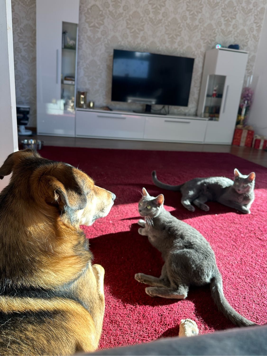image-8