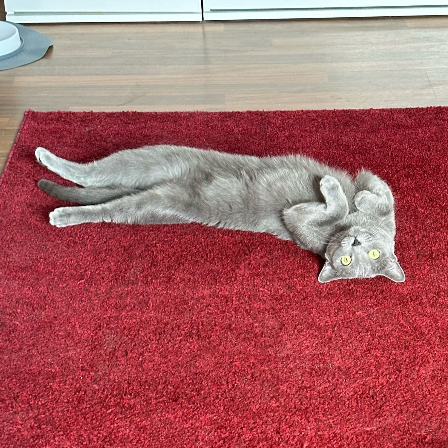 Mila