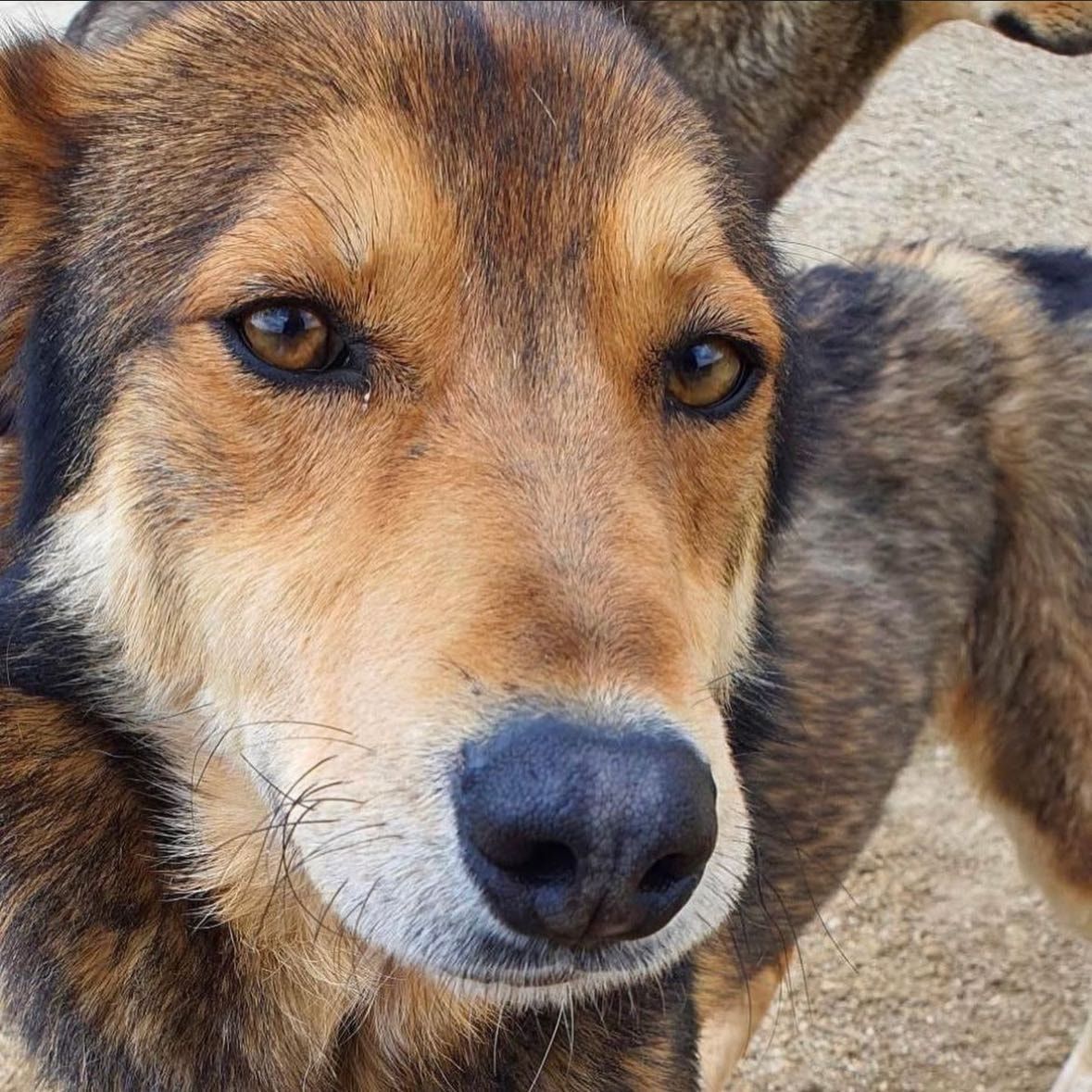 Yuma