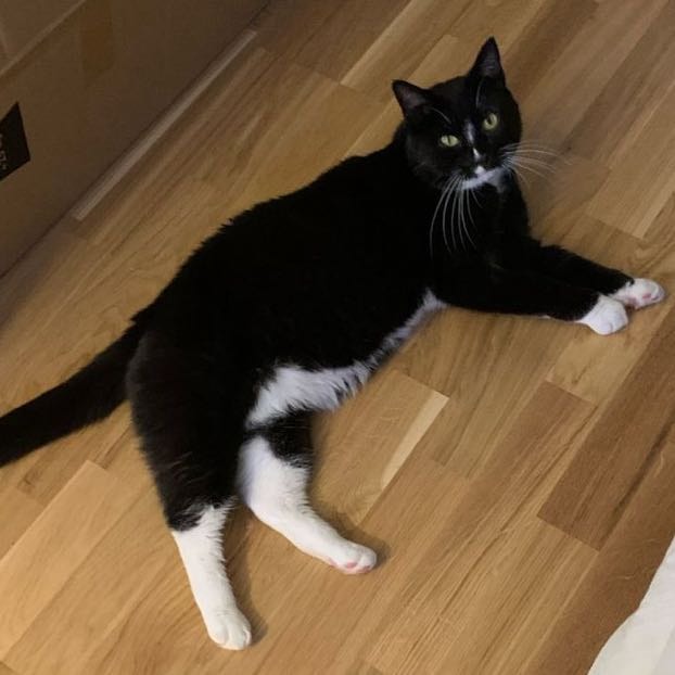 Colonel Caspian (Casper)