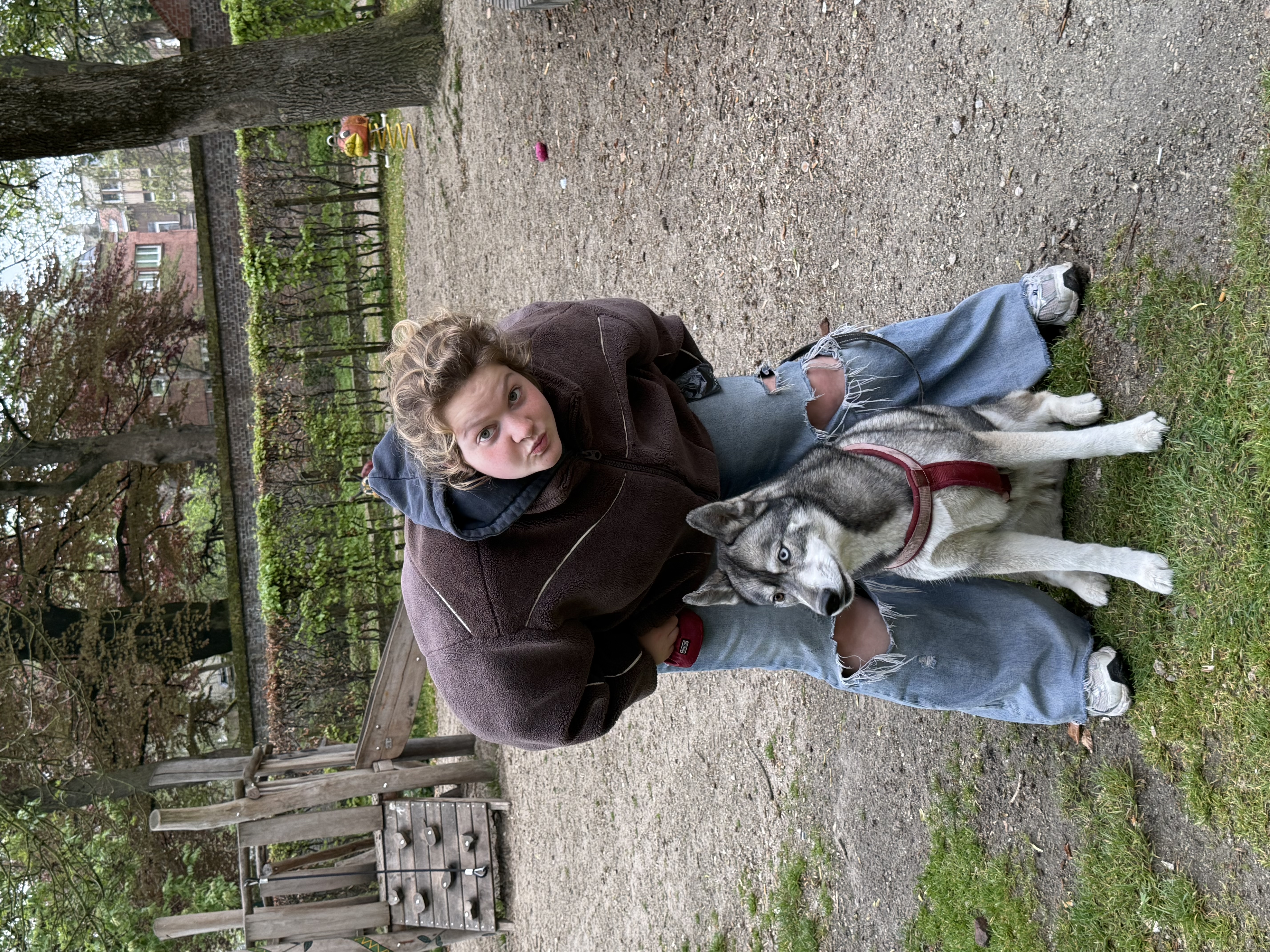 image-3