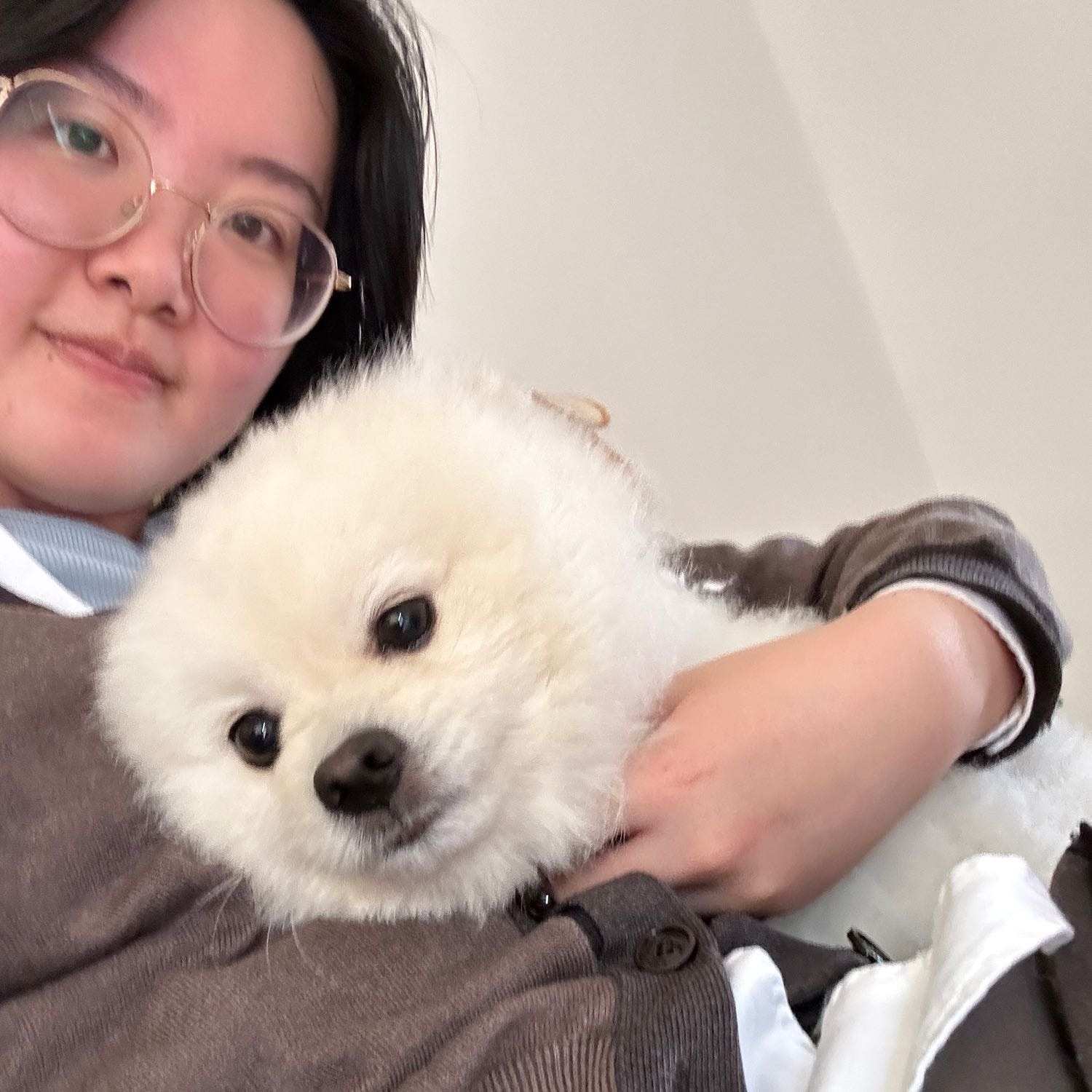 Teddy