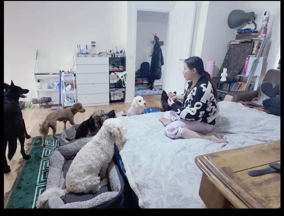 image-13