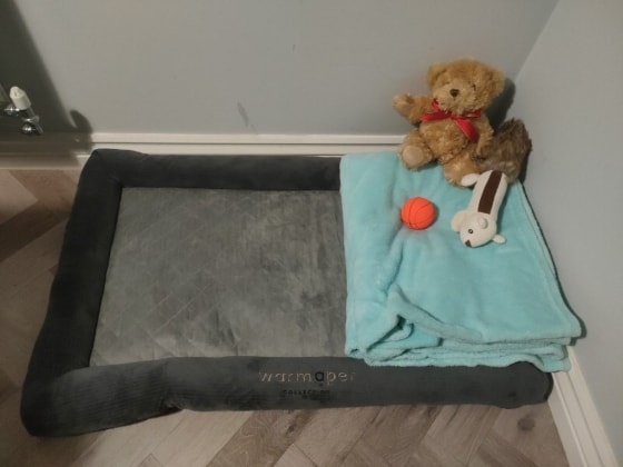 image-13
