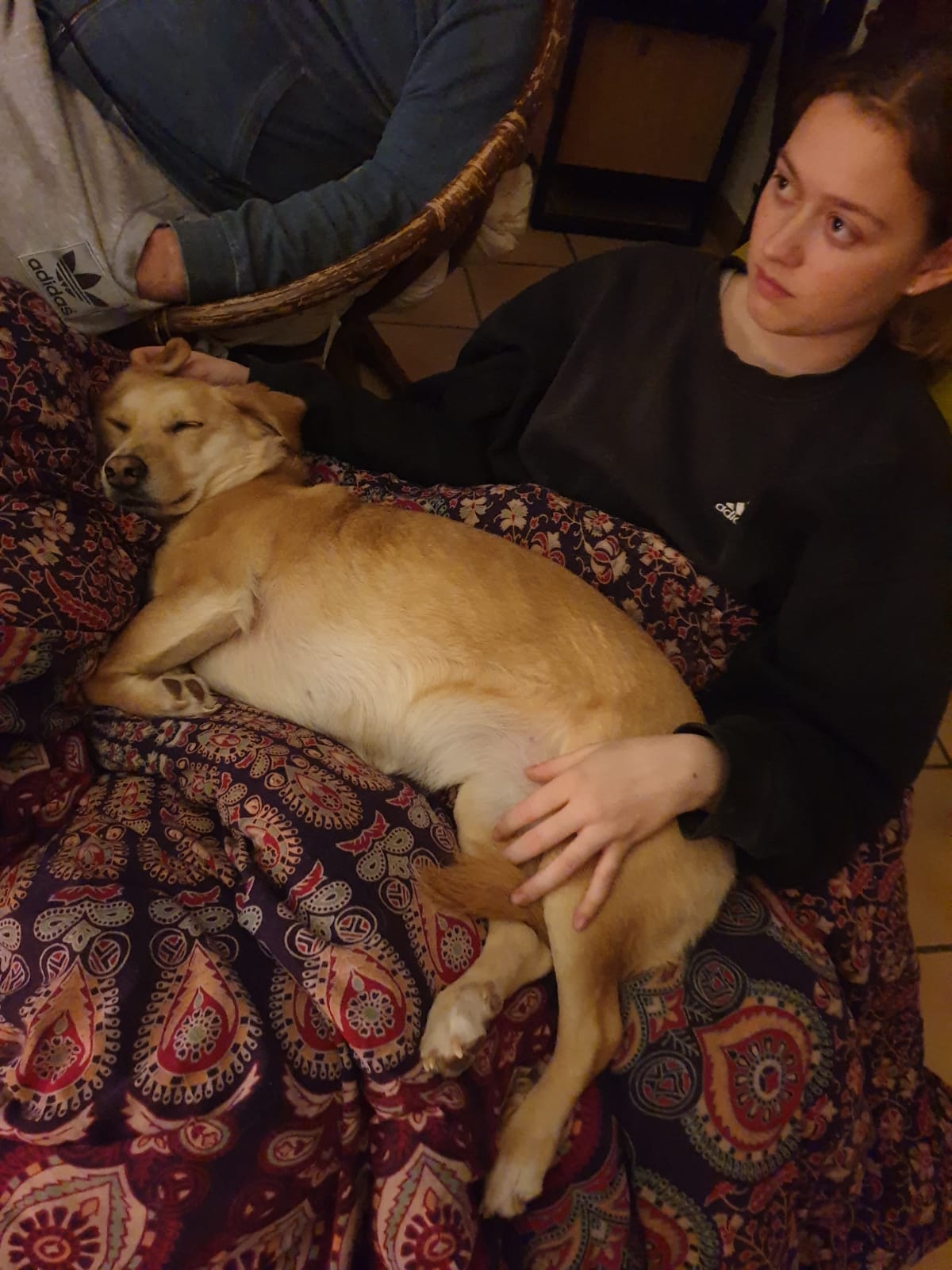 image-6
