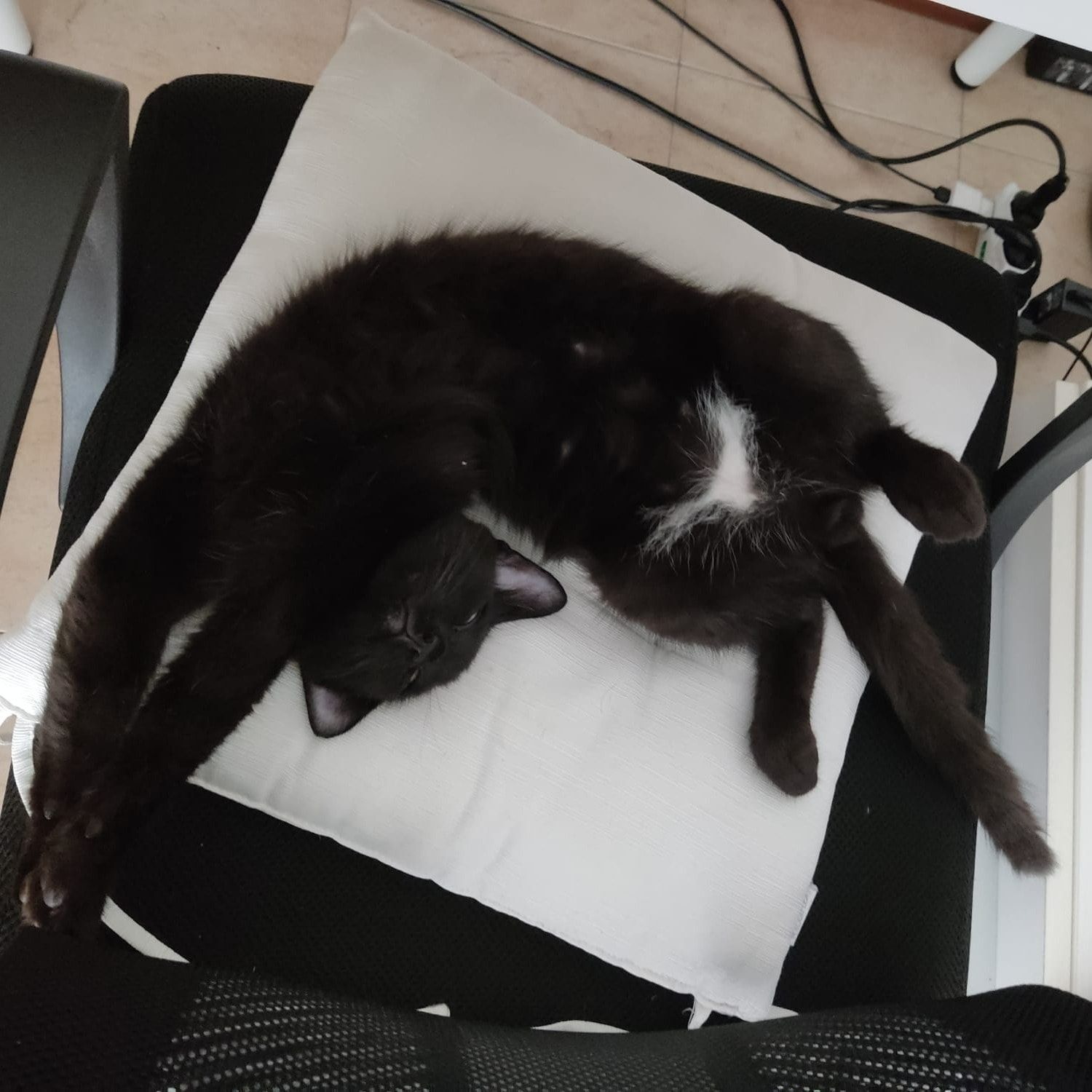 Marcel