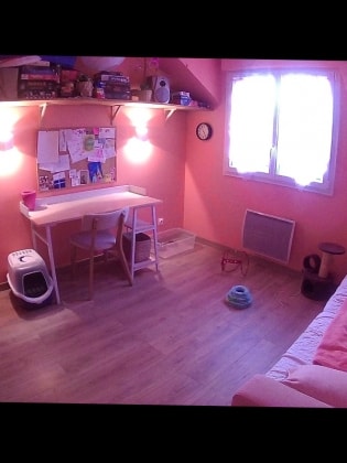 image-5