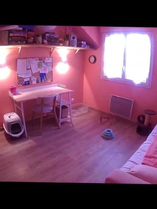 image-5