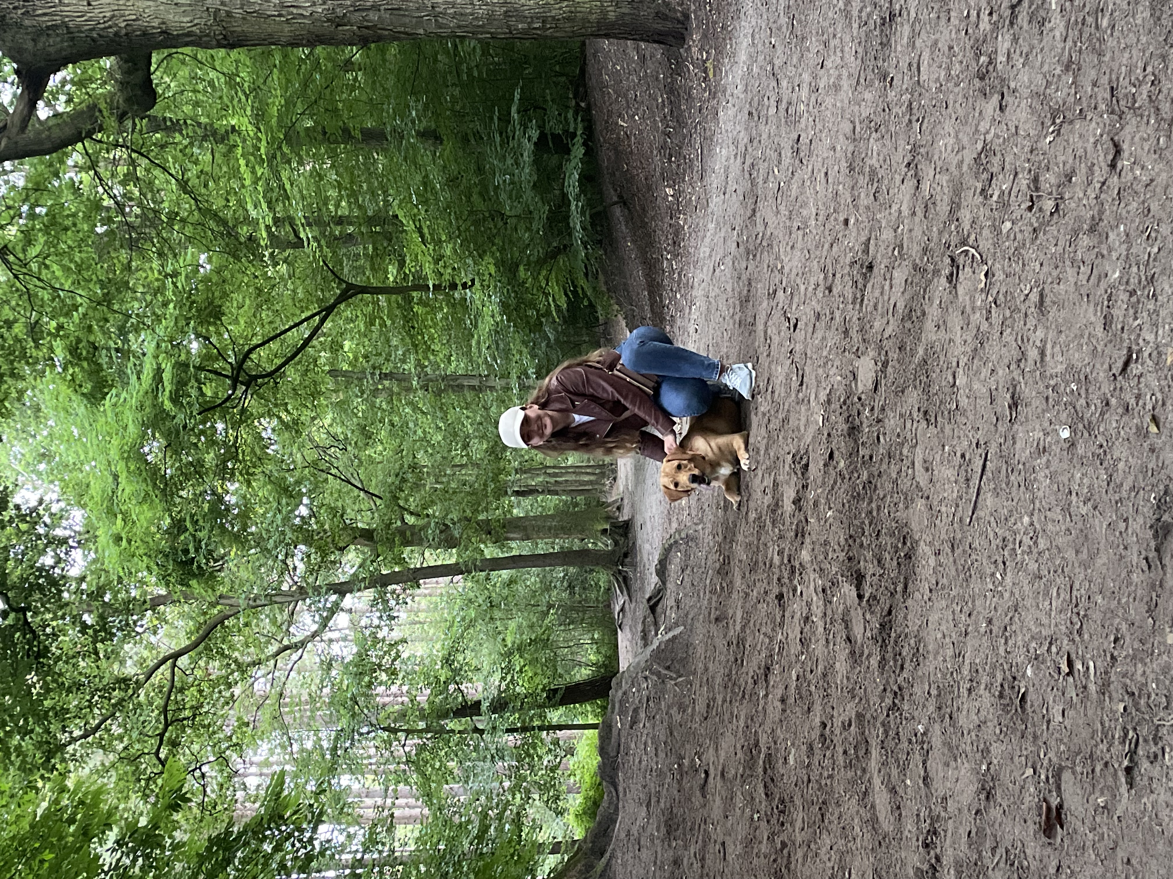 image-2
