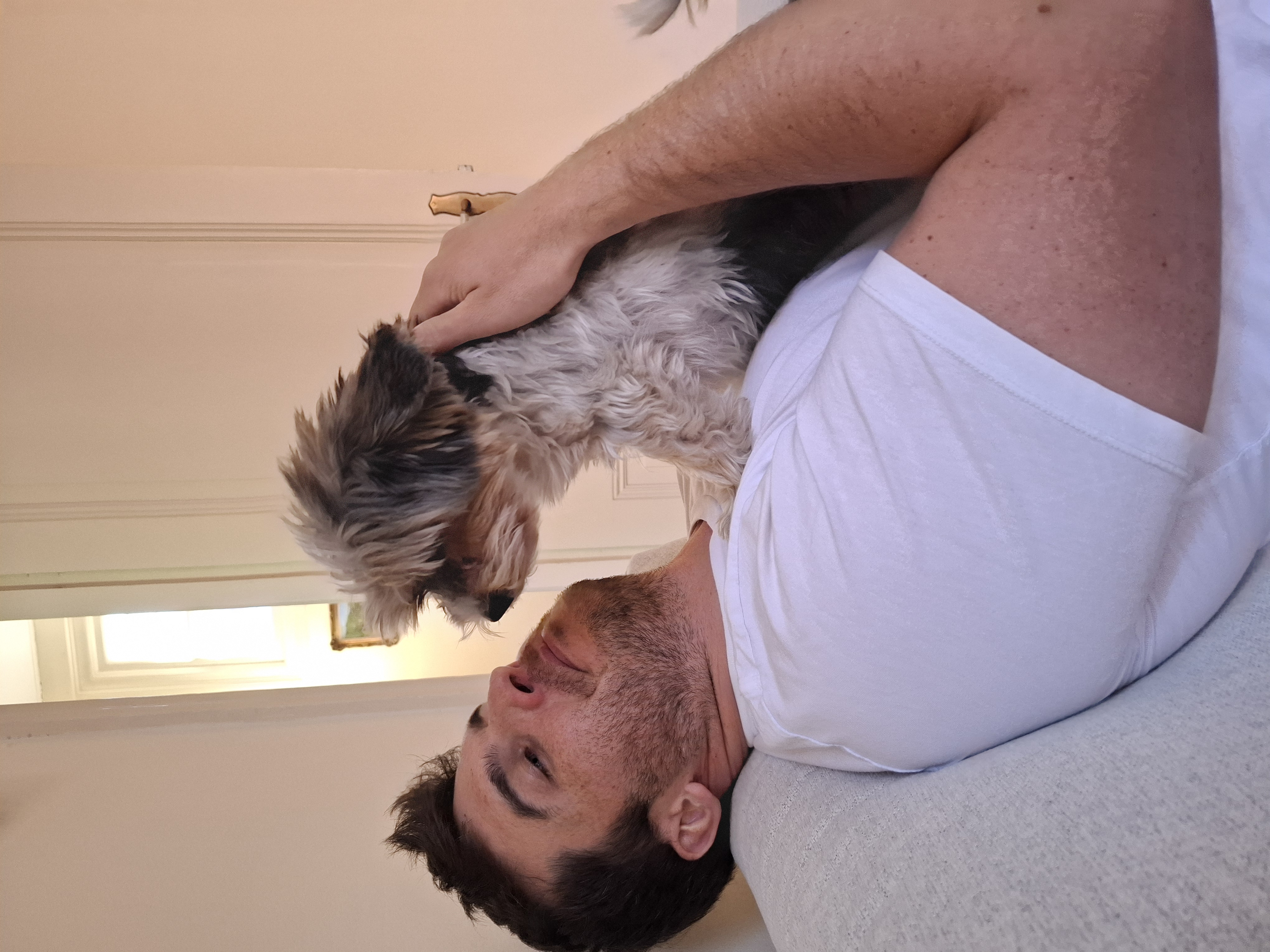 image-11
