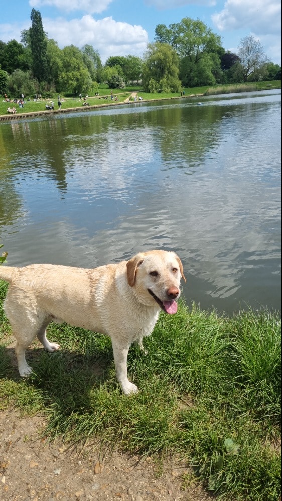 image-43