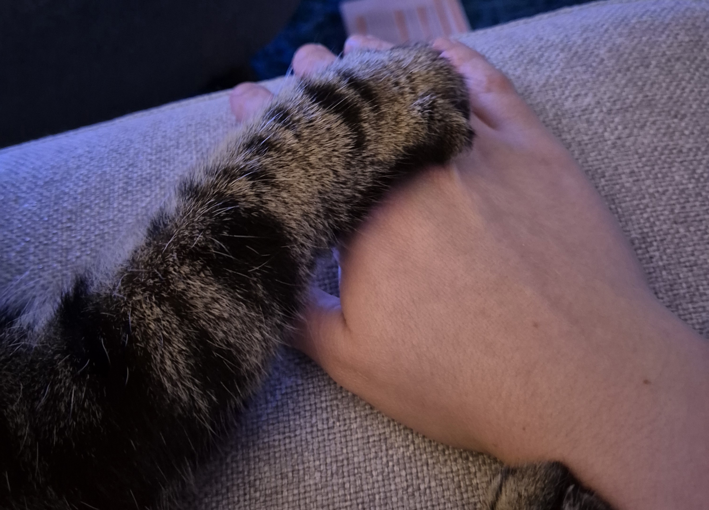 image-6