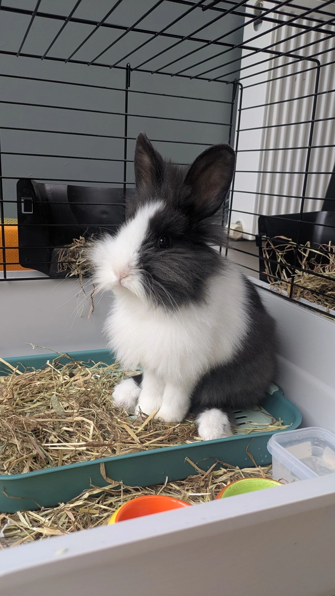 image-9