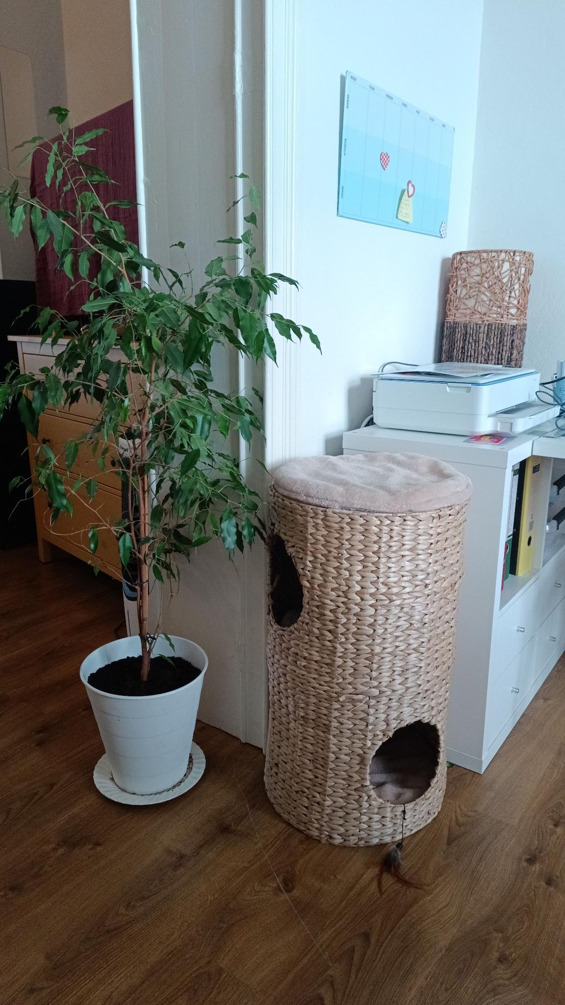 image-17