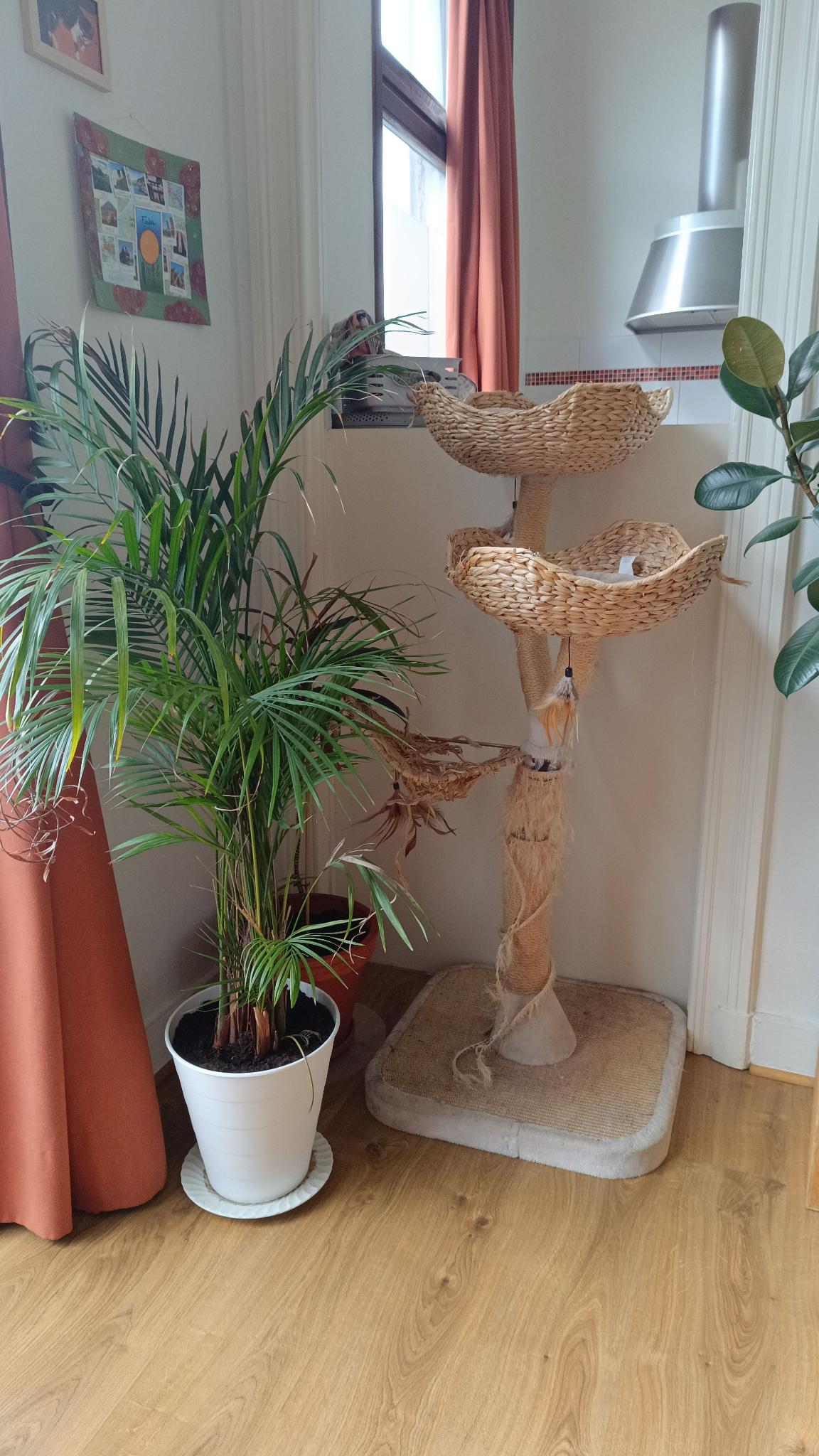 image-18
