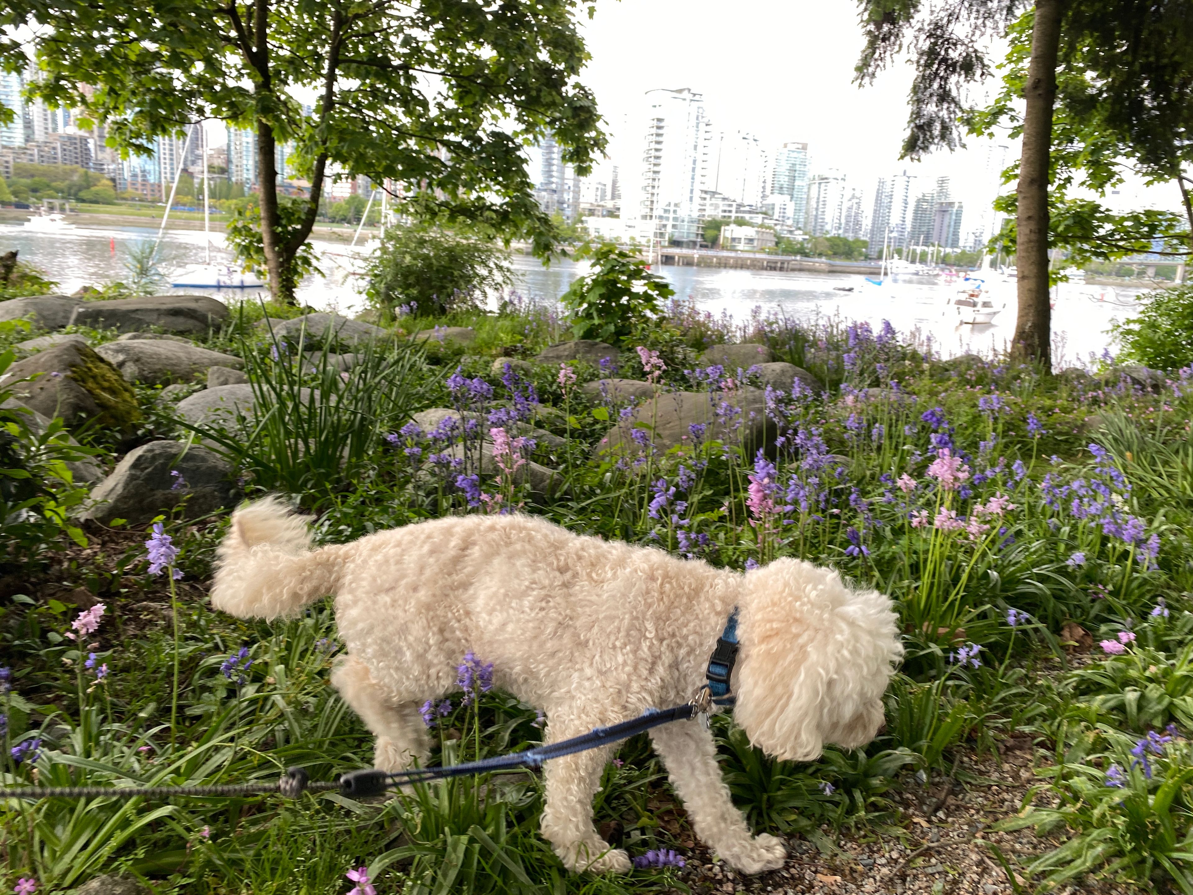 image-33