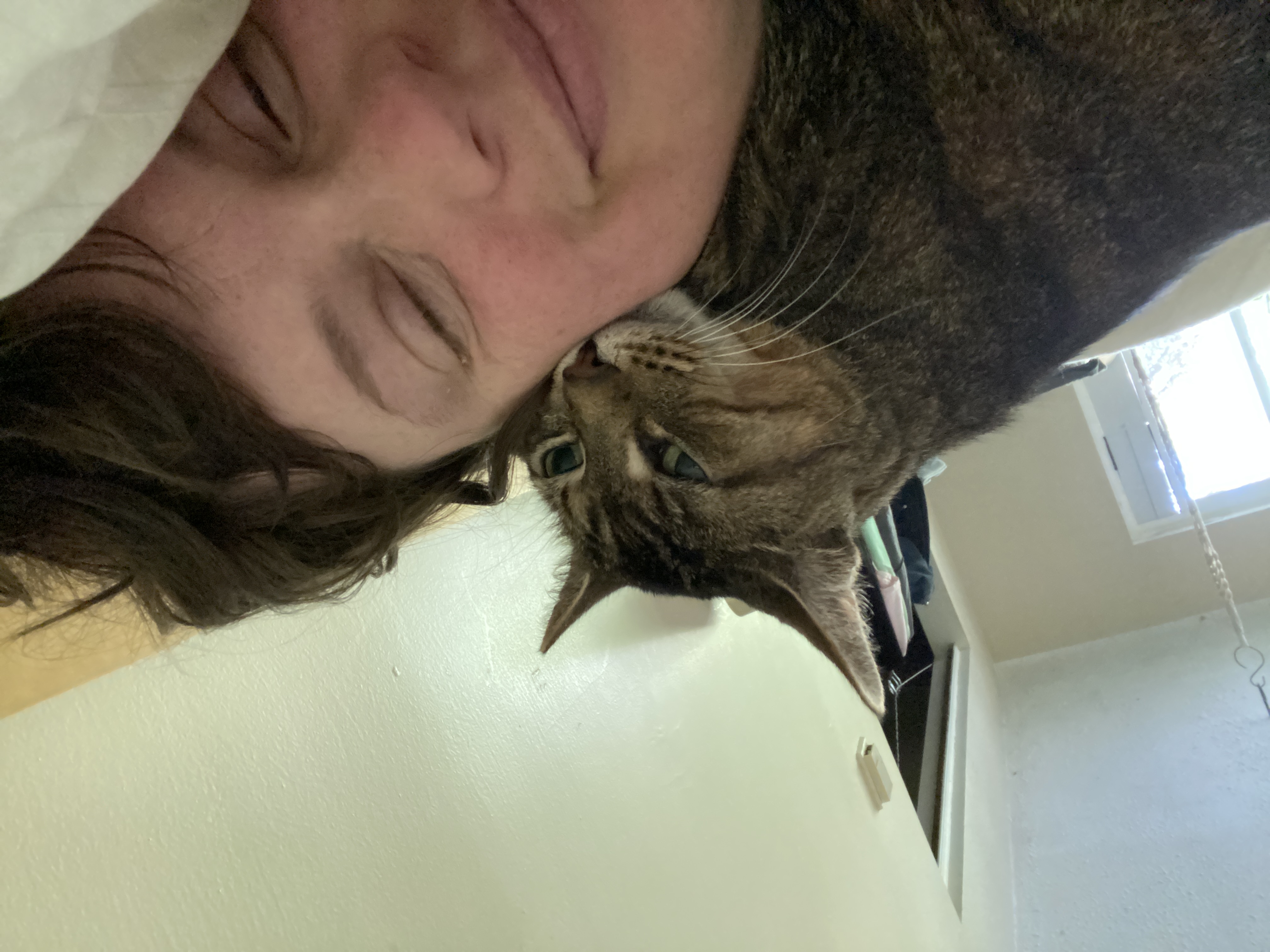 image-0