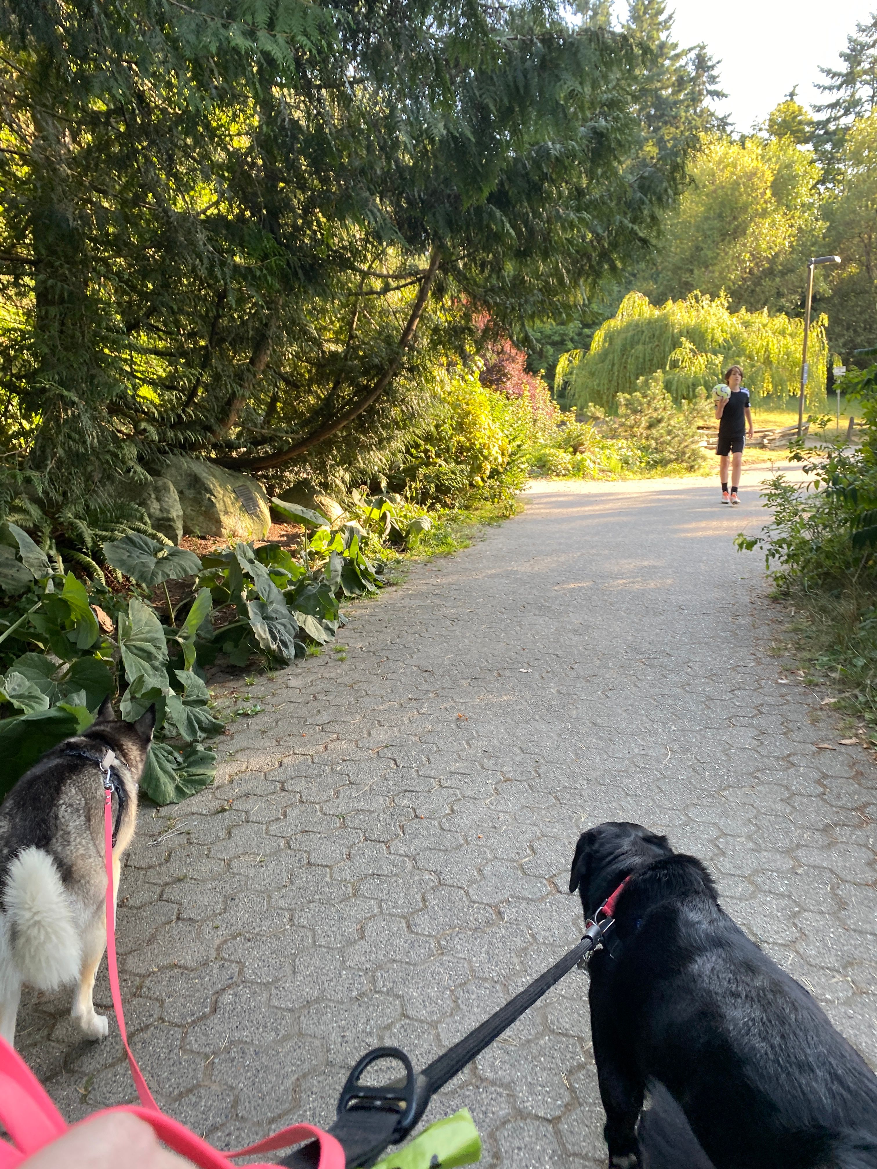 image-143