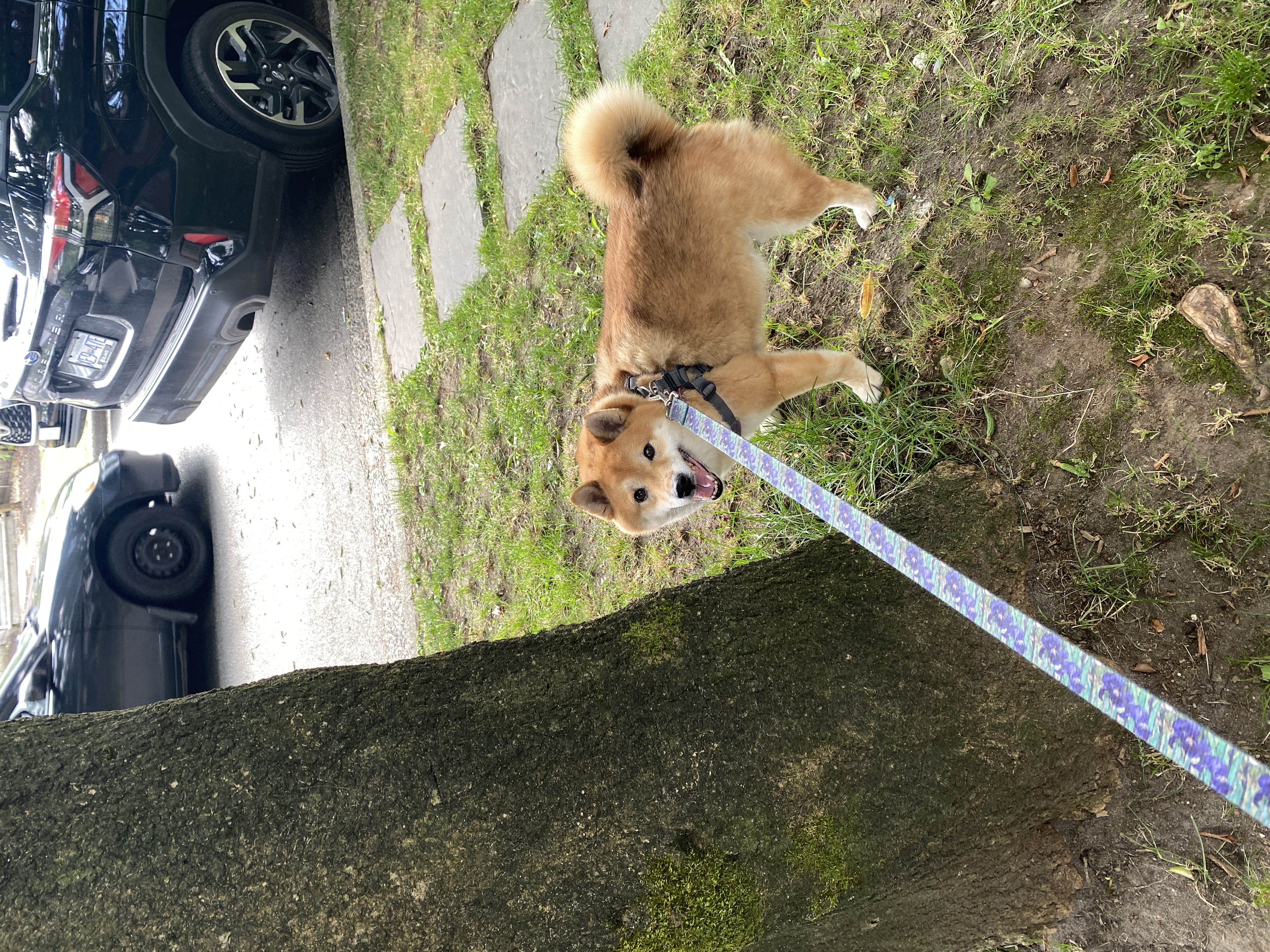 image-131