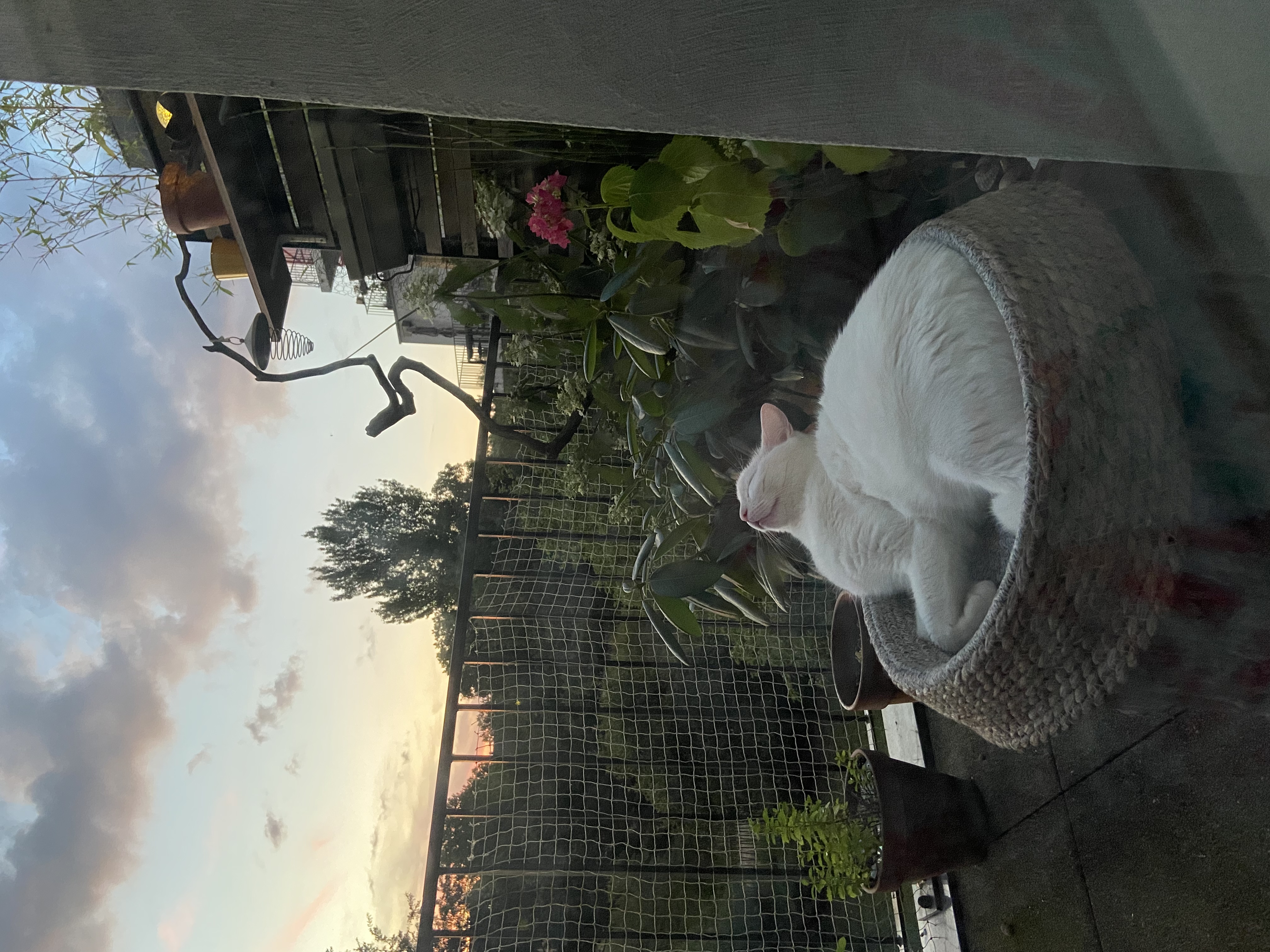 image-12
