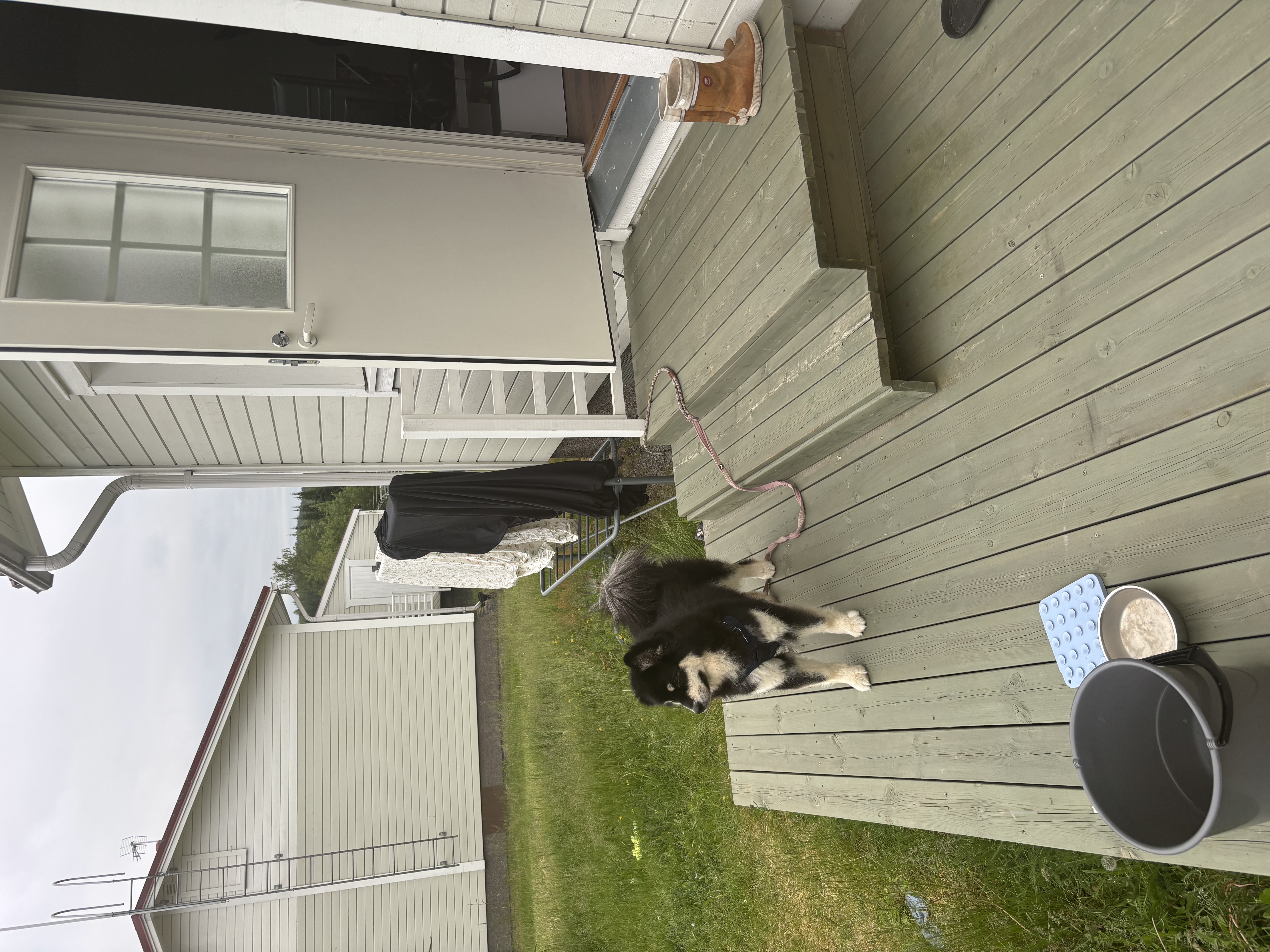 image-15