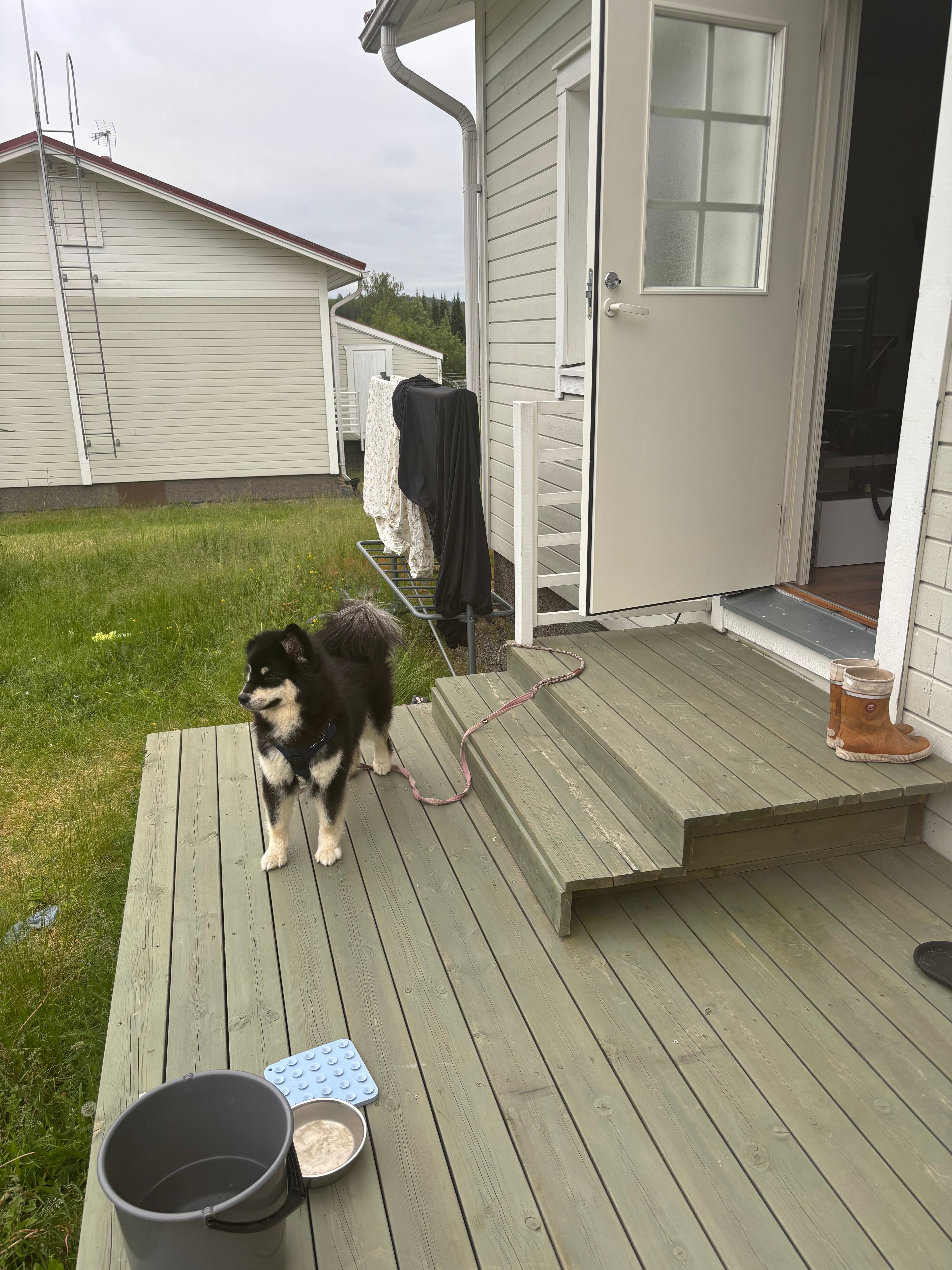 image-15