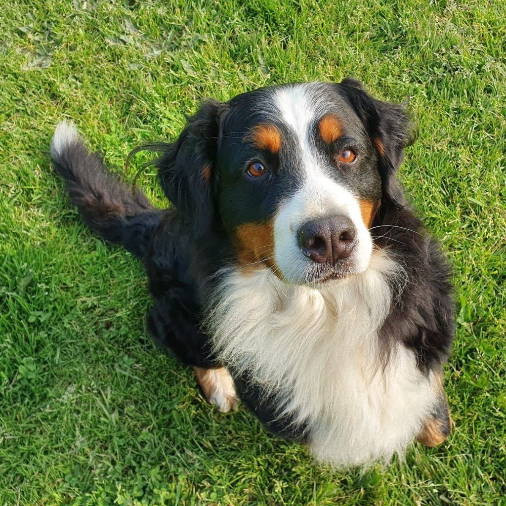 Kaya