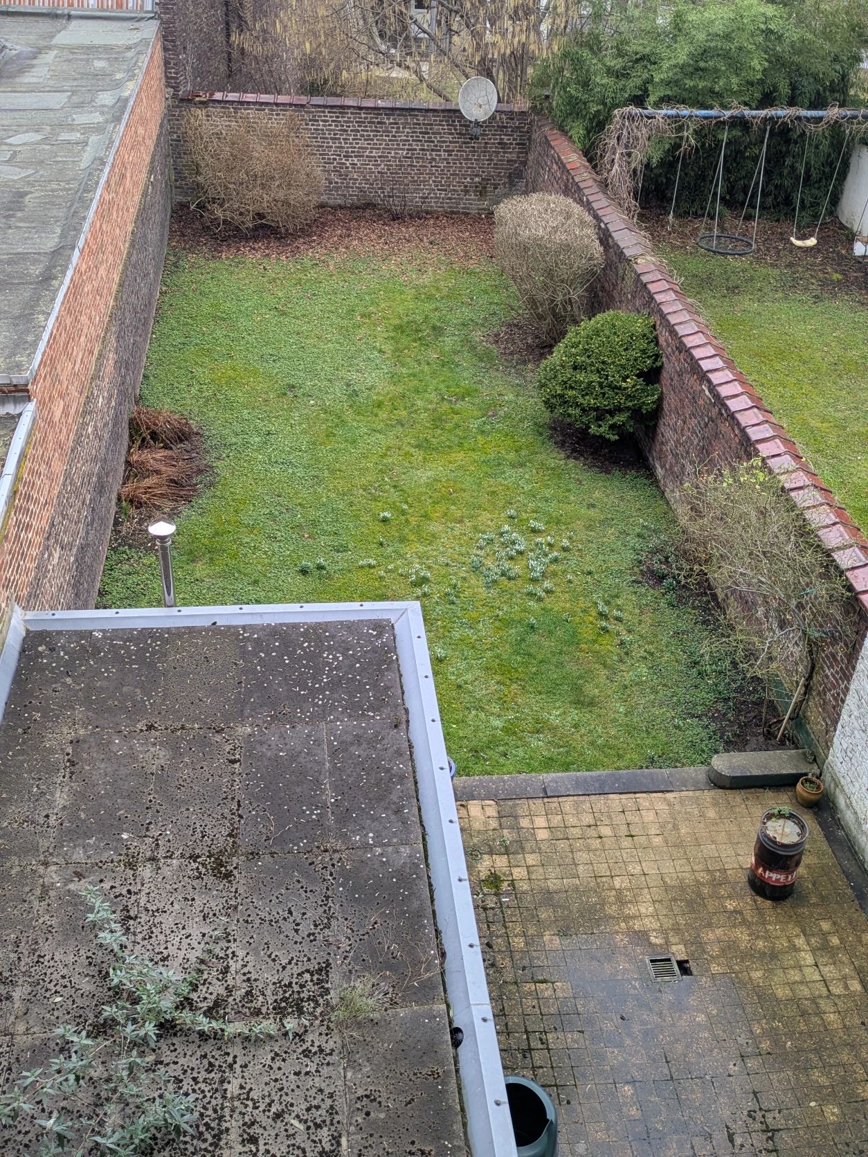 image-9