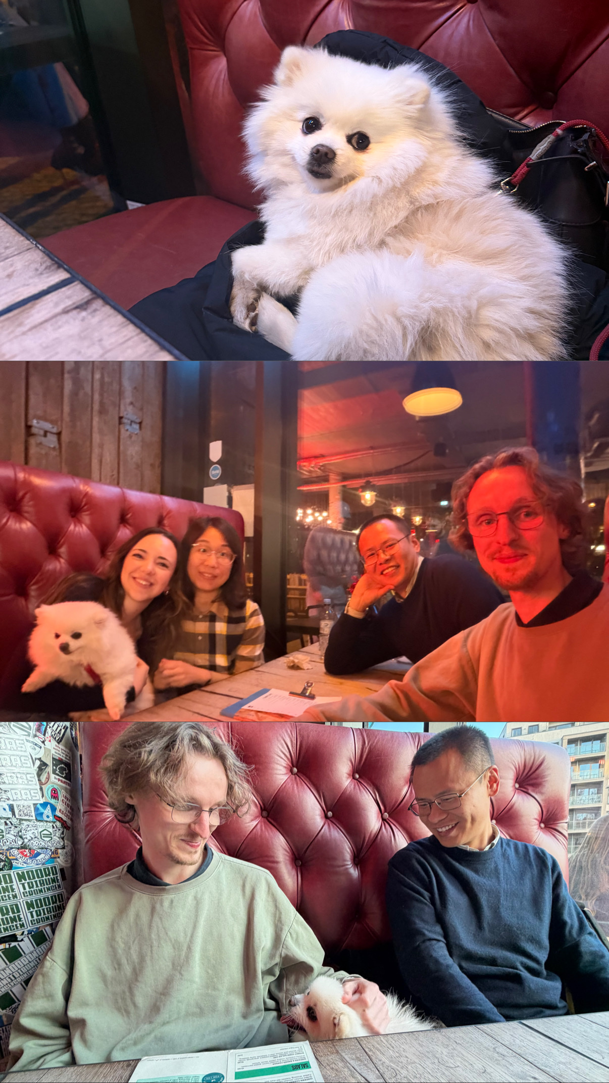 image-11