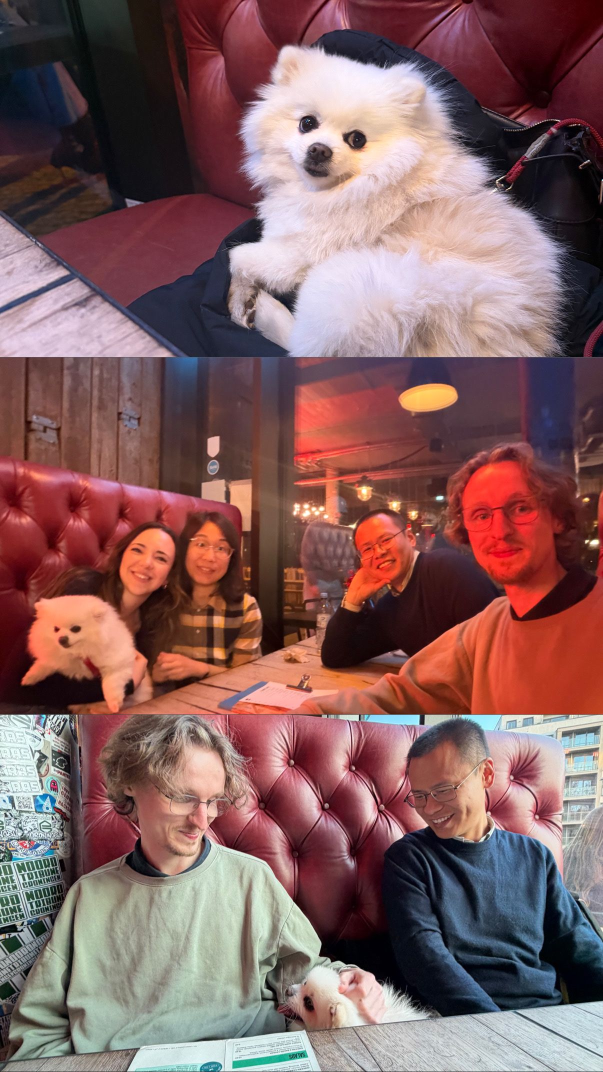 image-11