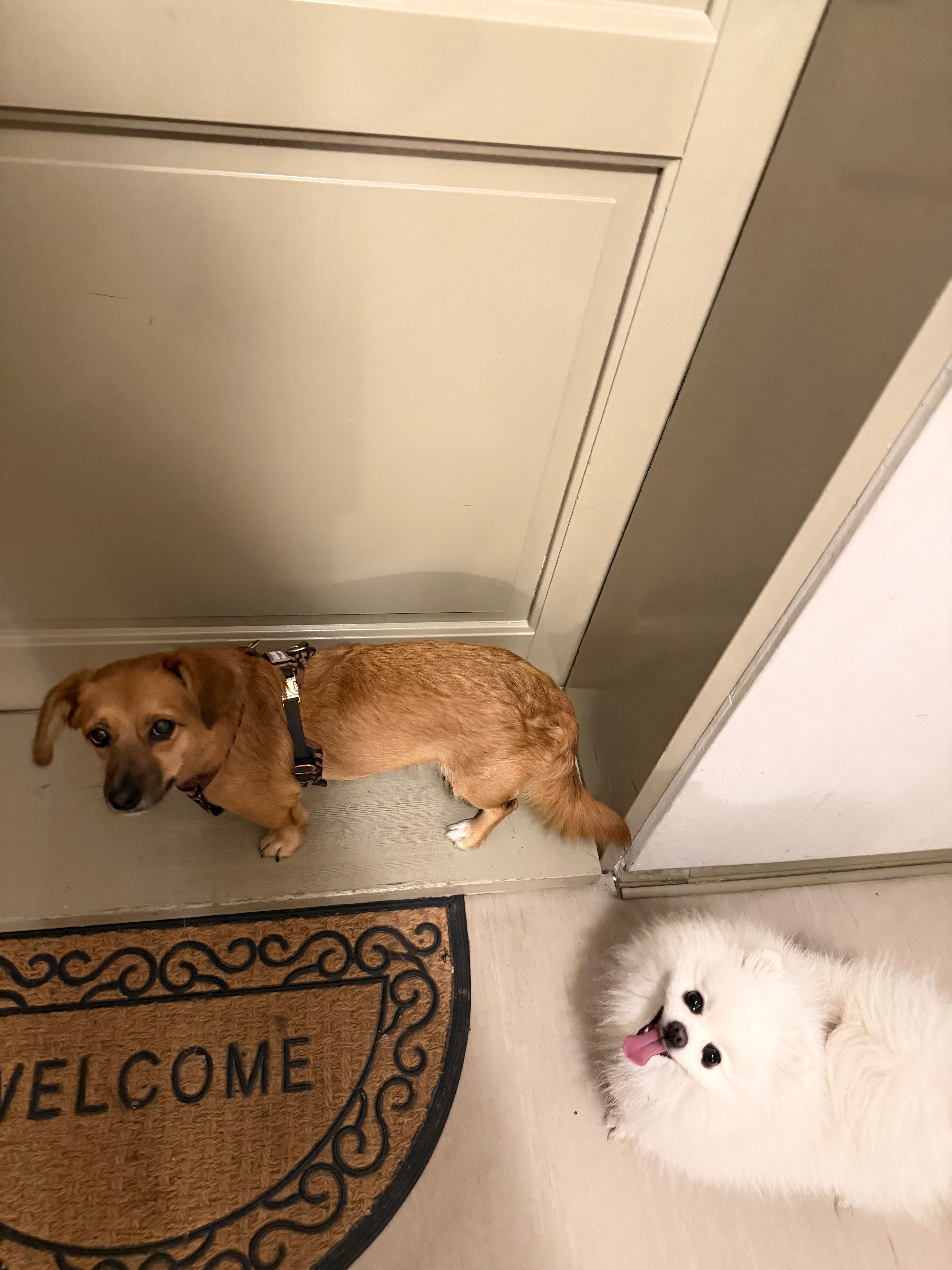 image-14