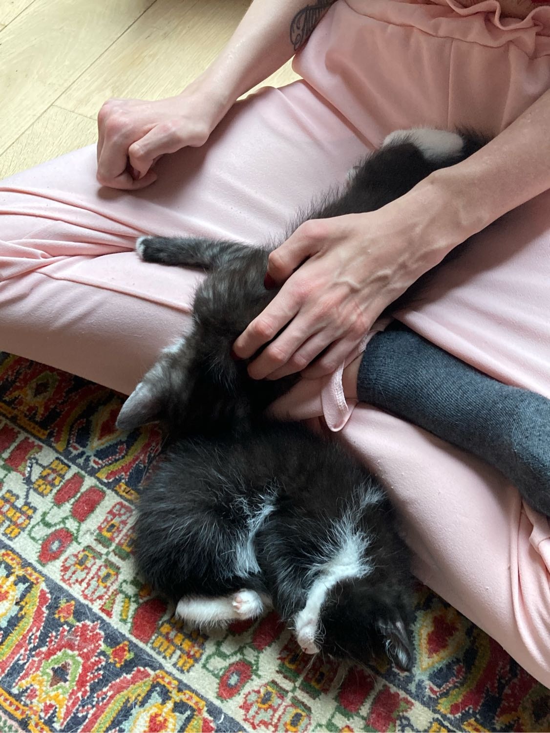 image-11