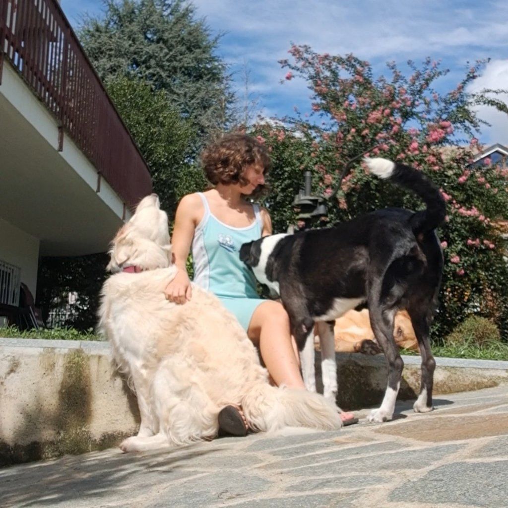image-2