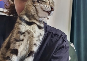 Ella
