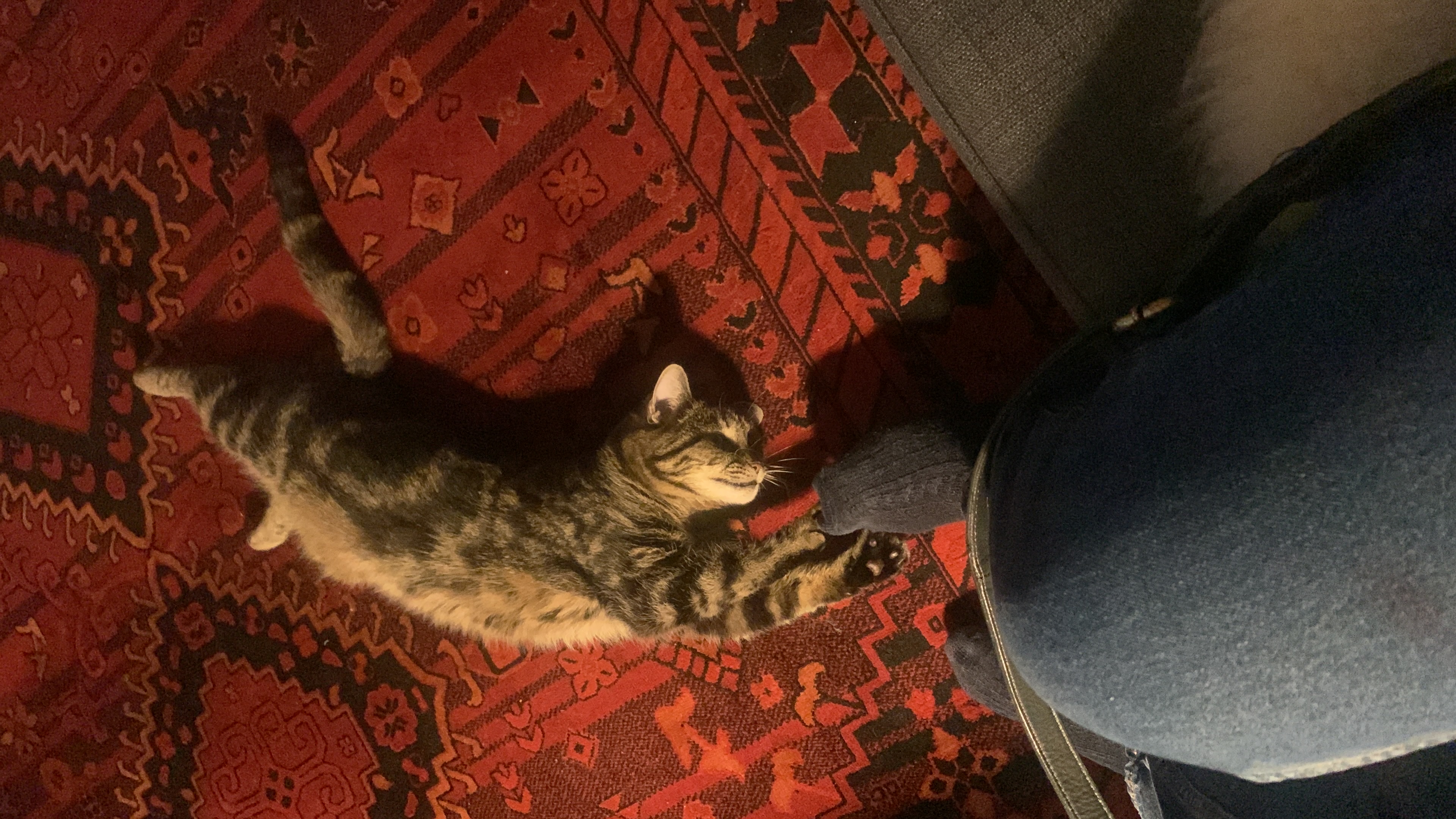 image-19