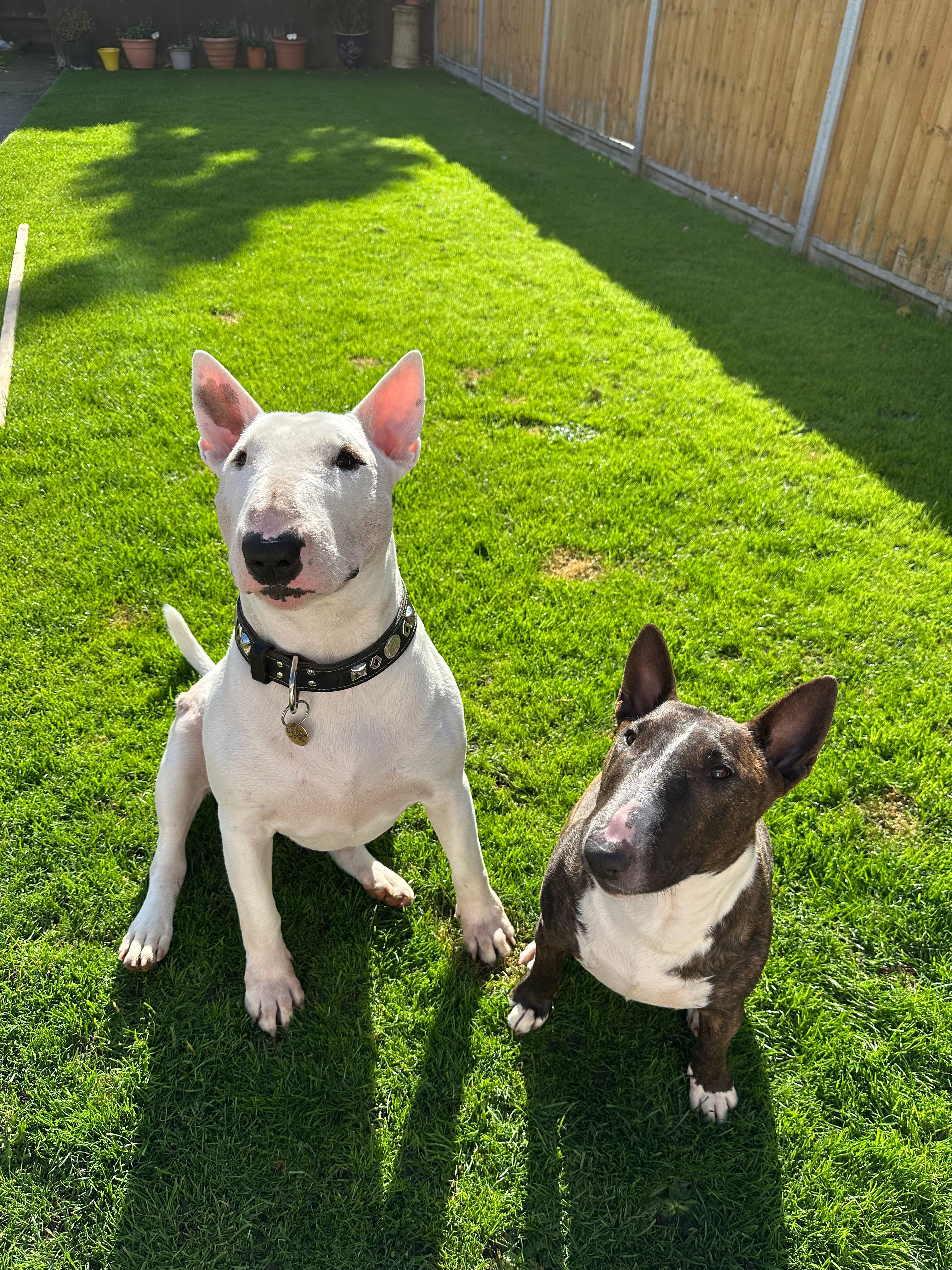 image-20
