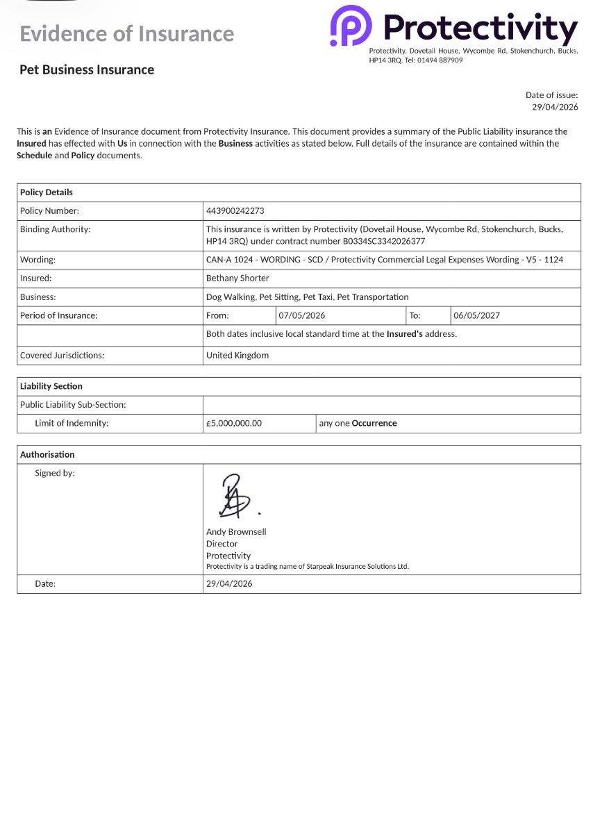 image-13