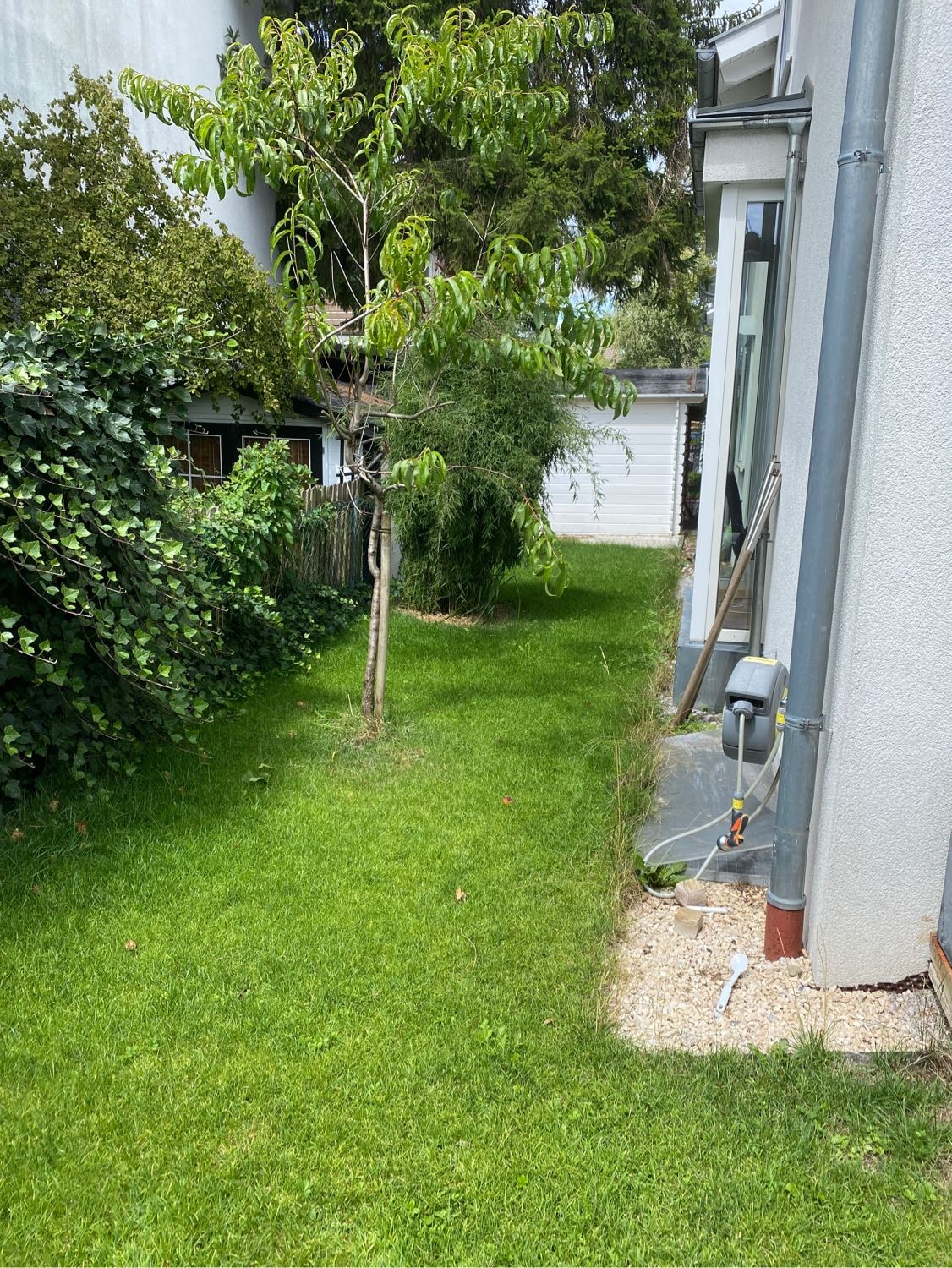 image-14
