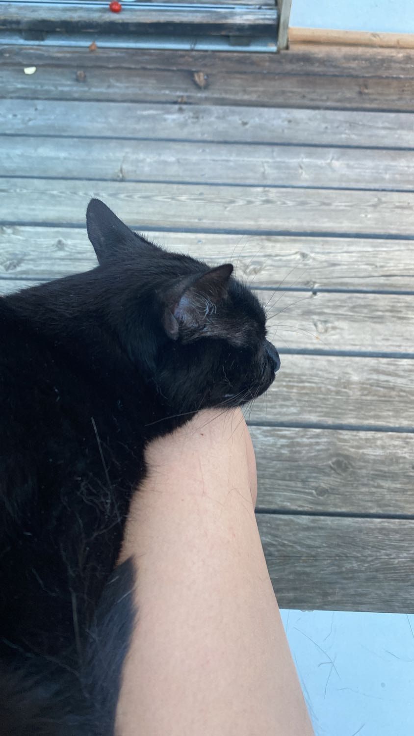 image-11