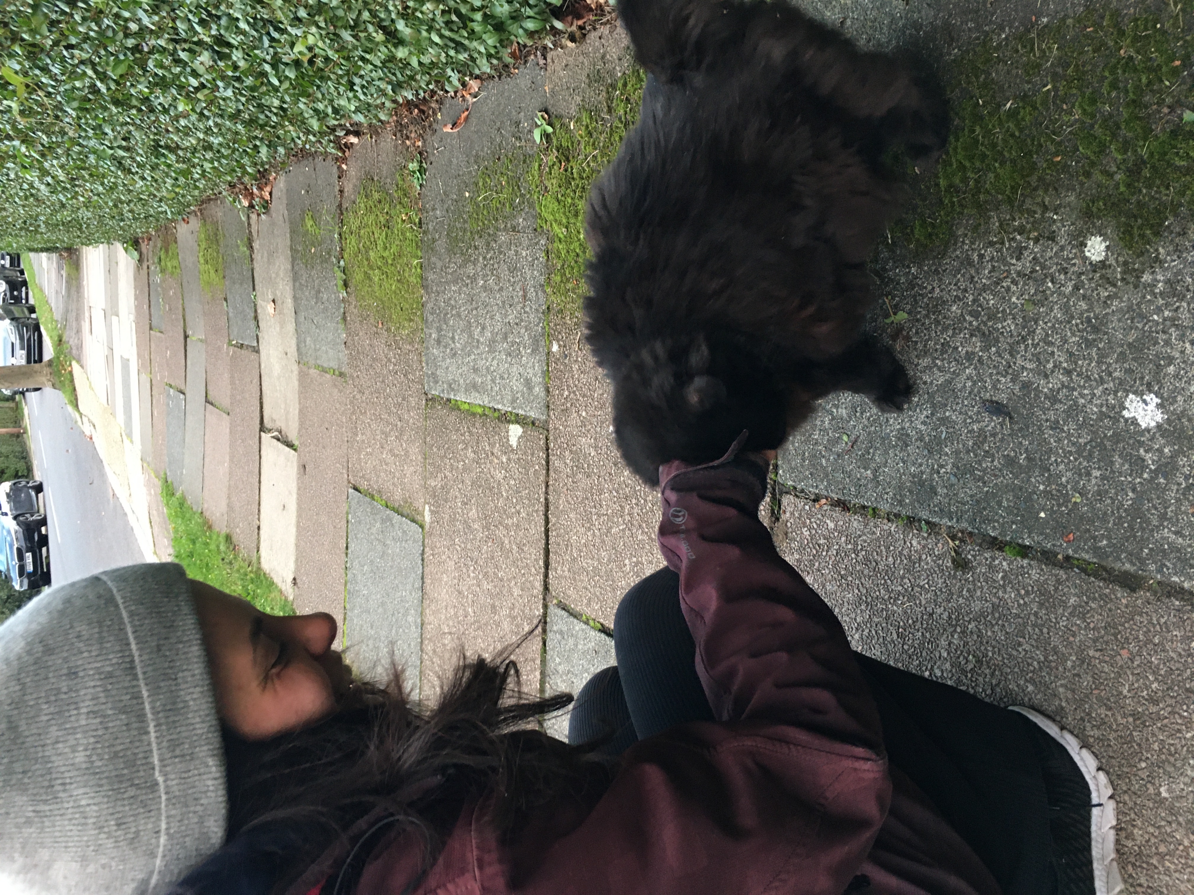 image-7