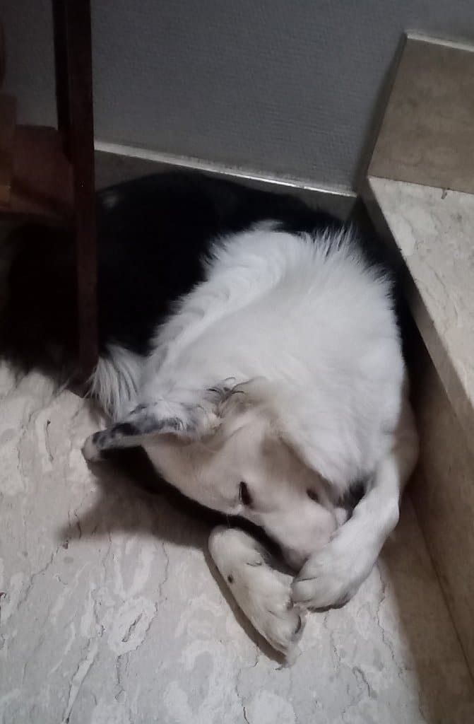image-5