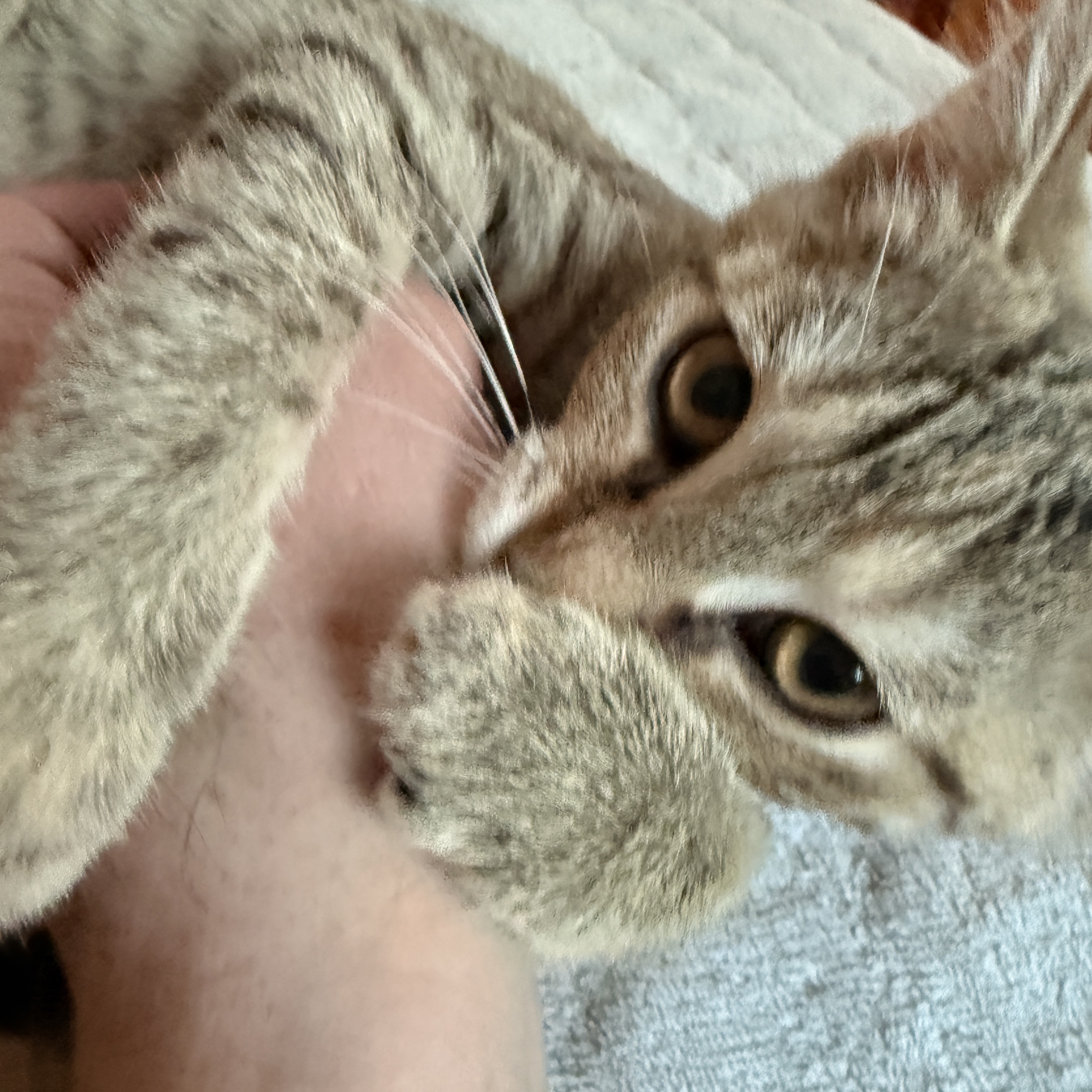 Lucie