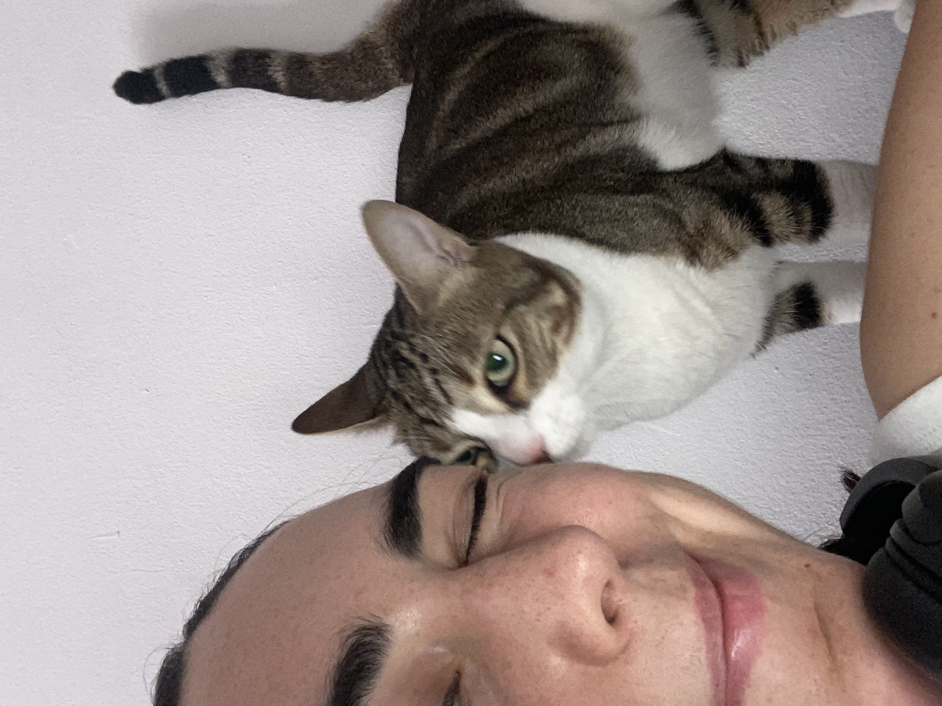 image-10