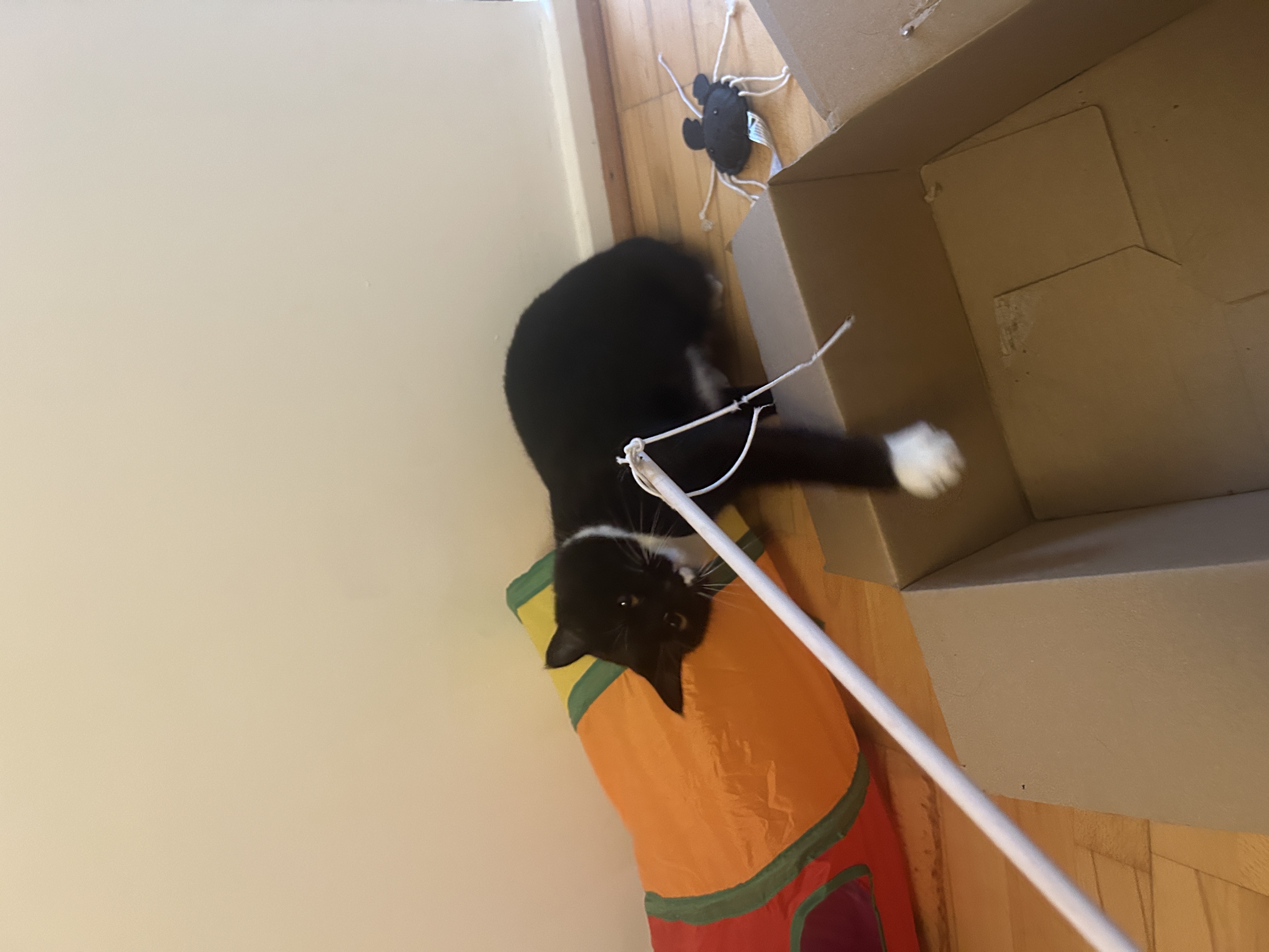 image-12
