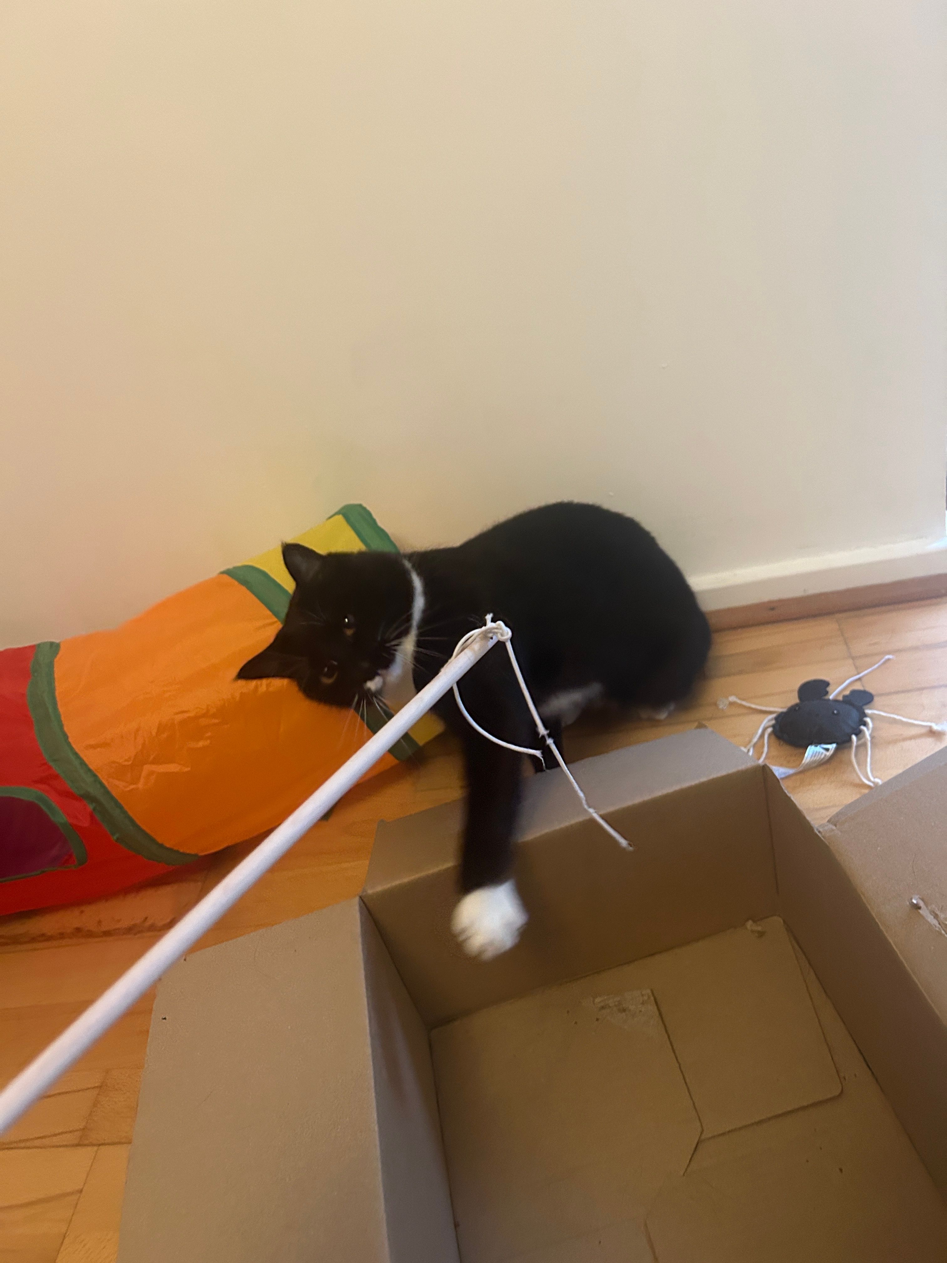 image-12