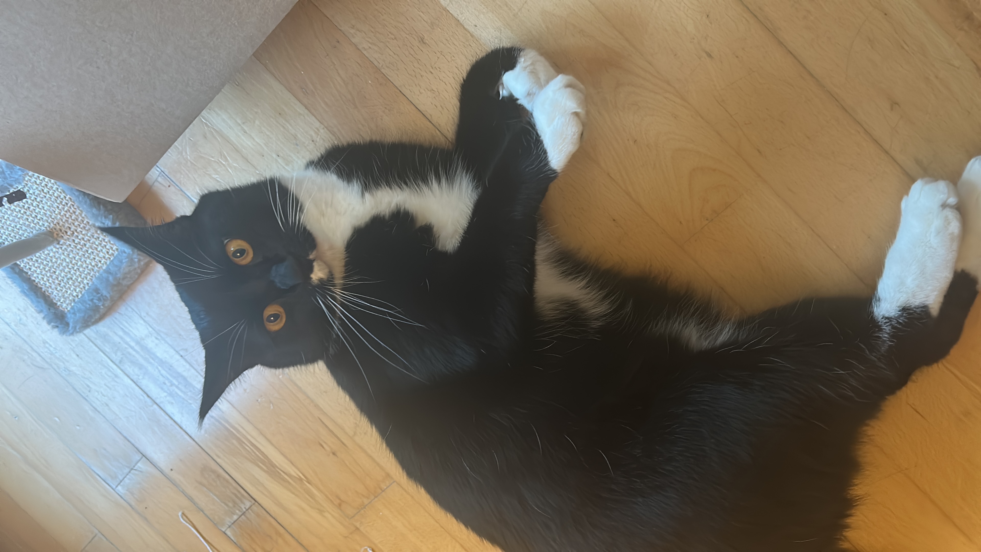 image-11
