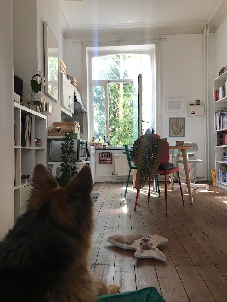 image-16