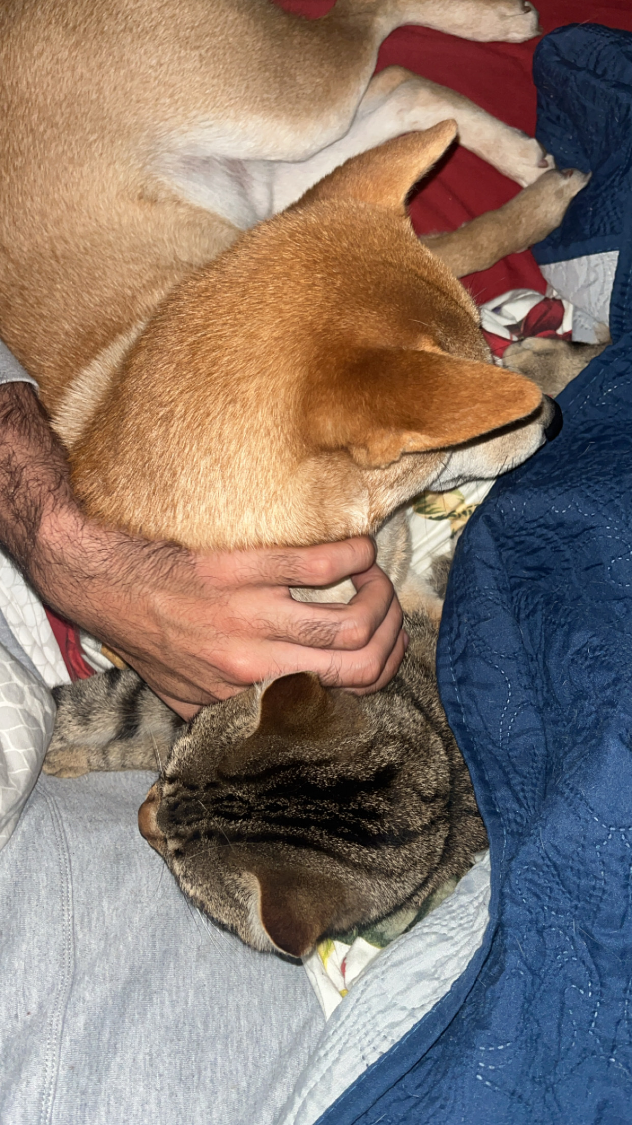 image-16