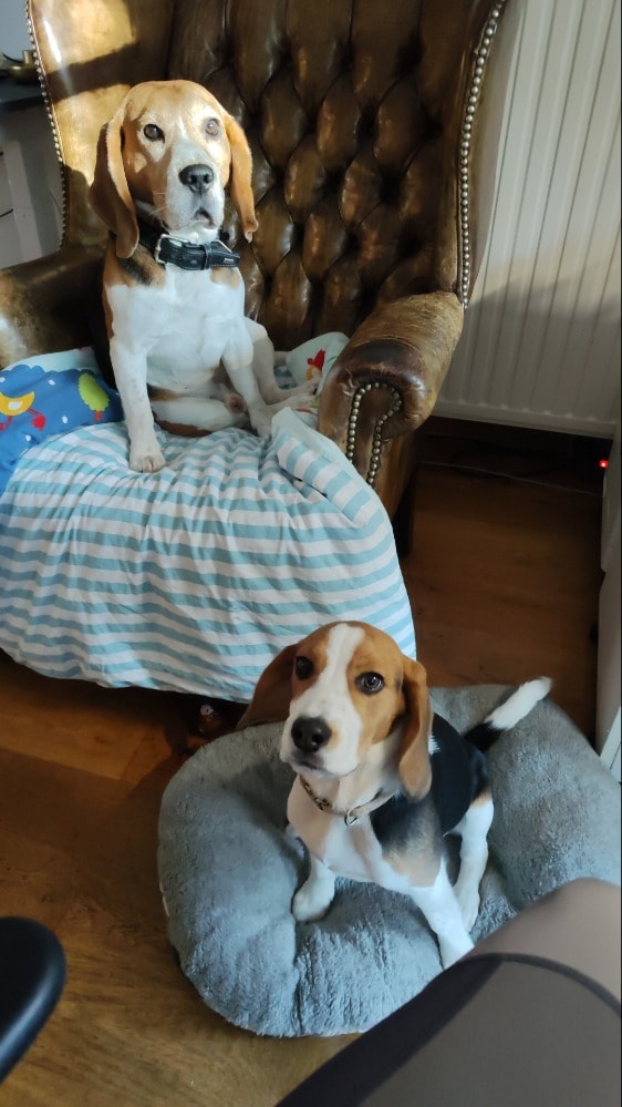 image-14